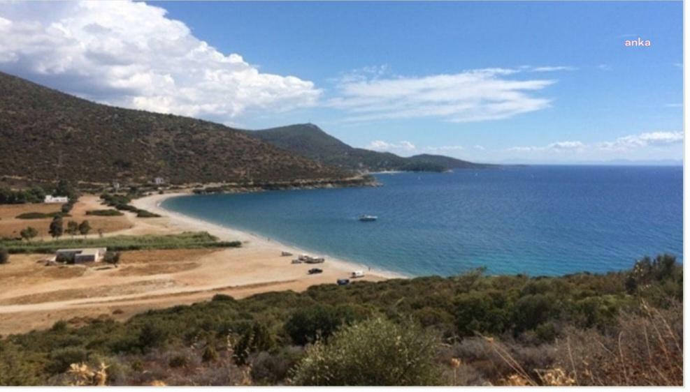 Limak'a onay verildi, Bodrum'da orman ve sit alanına 214 odalı, 5 yıldızlı otel yapılacak