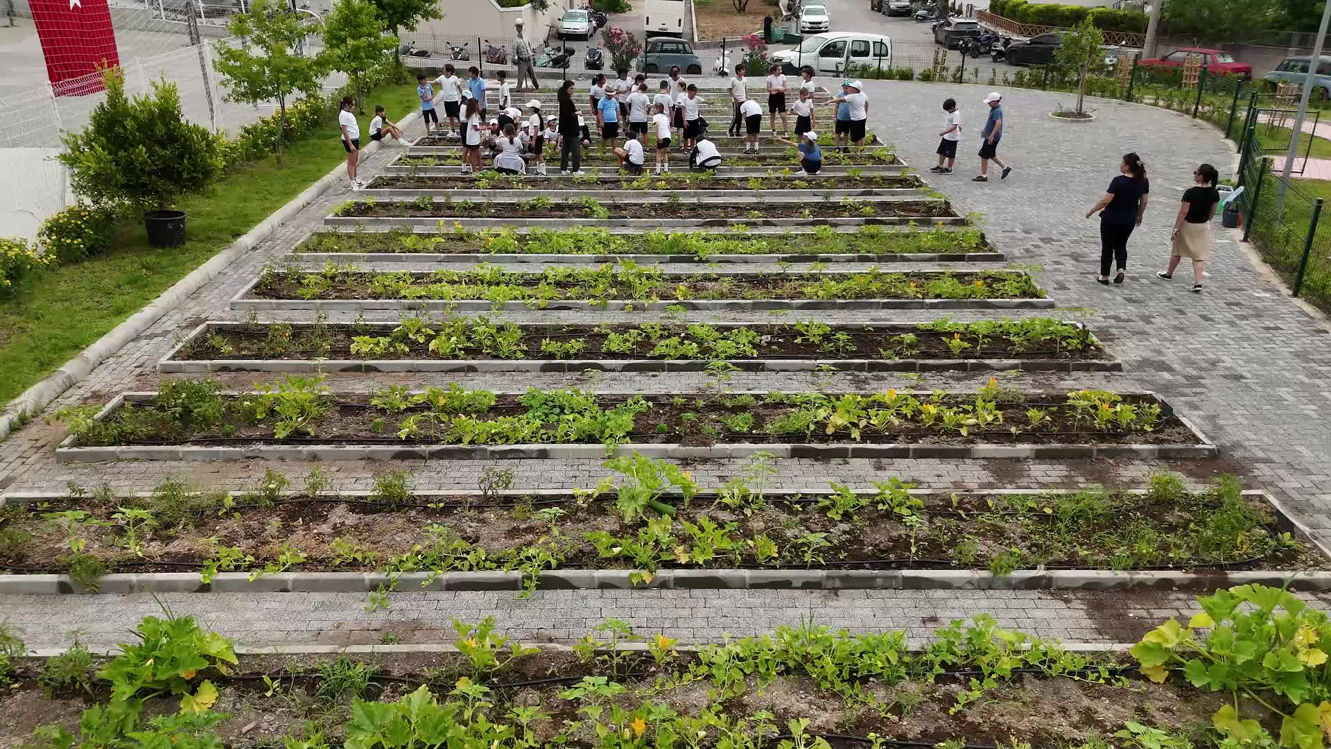 Marmaris'te minik çiftçiler, hasada başladı