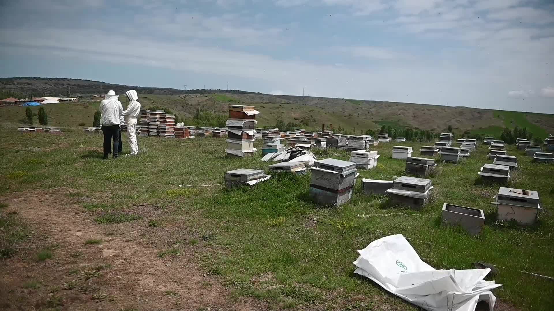 Yozgat’ta gezginci arıcılar artan maliyetlere yenik düştü