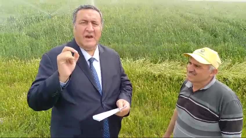Ömer Fethi Gürer’e dert yanan çiftçi: “Buğday için 15 TL'nin altında verilecek taban fiyatı bizi kurtarmaz"