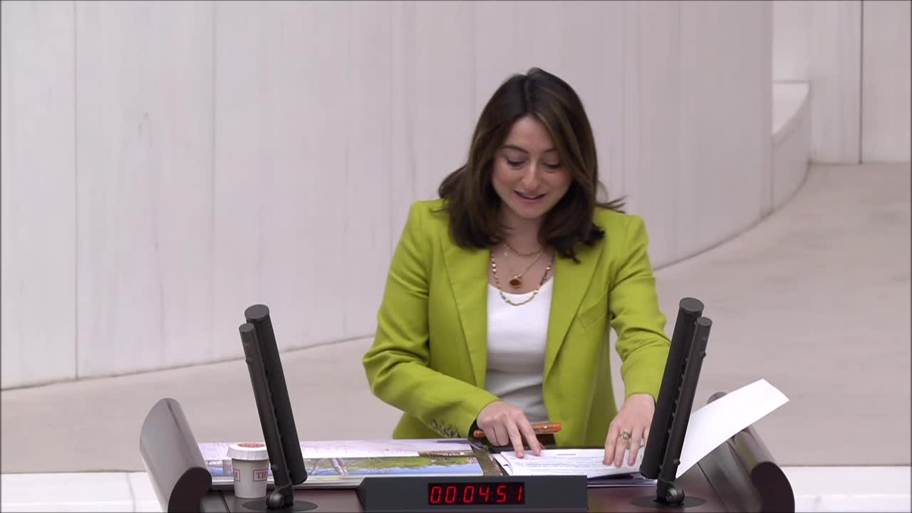 CHP’li Bankoğlu’ndan Bartın Irmağı ve Yankolları Islah Projesi’ne tepki: ''Bartın halkı ile ırmak arasına Çin Seddi örülüyor''