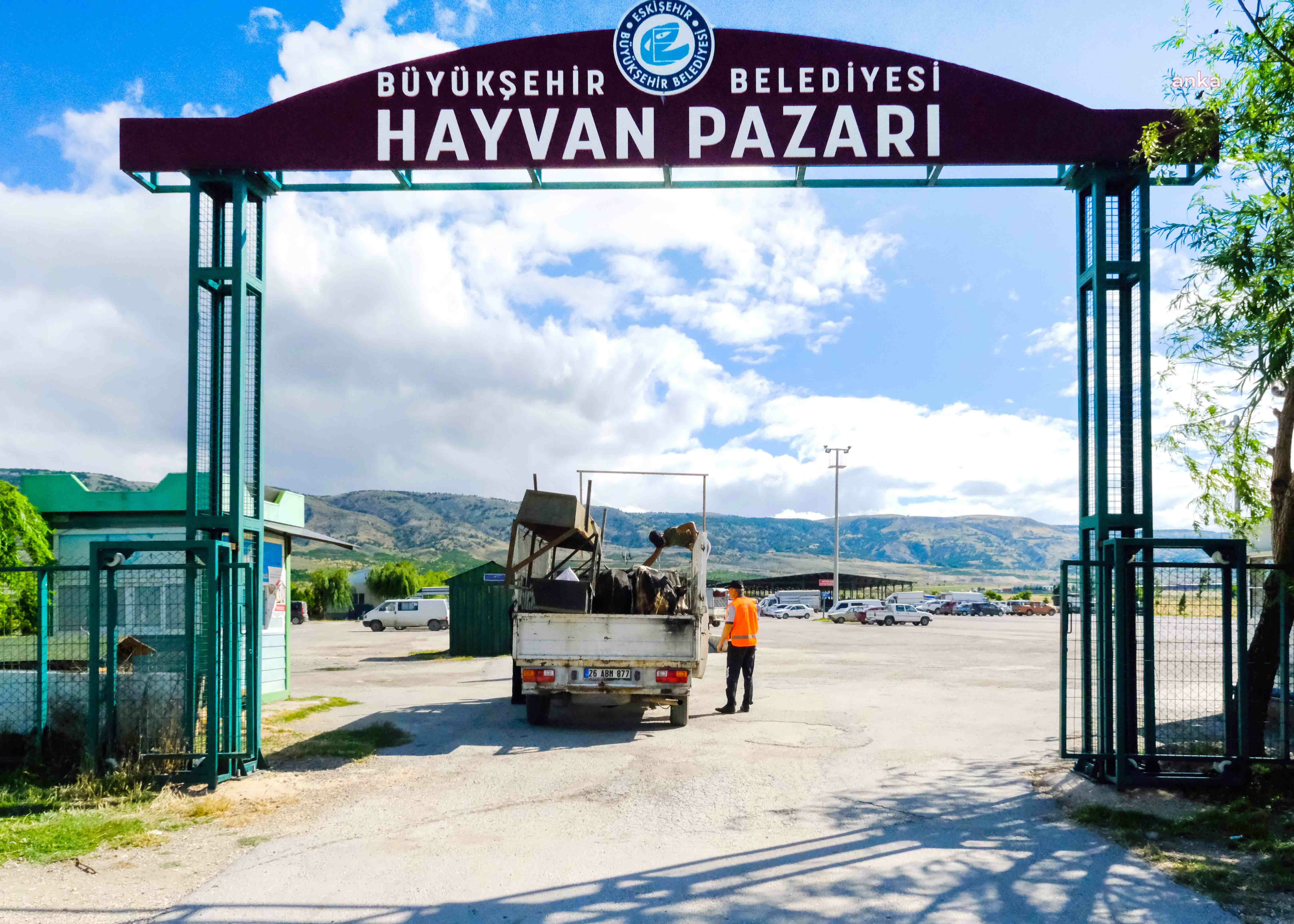 Eskişehir Büyükşehir Belediyesi’ne kurbanlık satış başvuruları başlıyor