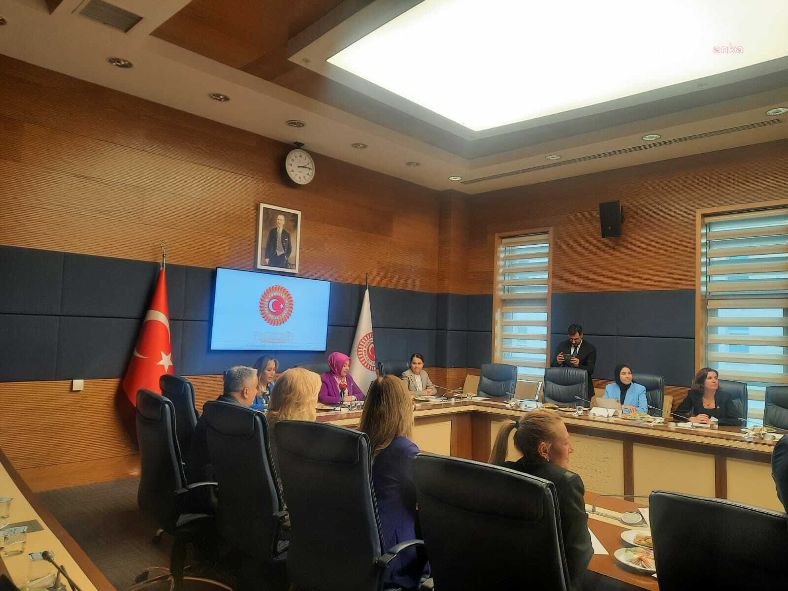 Türkiye'de doğurganlık oranının düşmesi TBMM Kadın-Erkek Fırsat Eşitliği Komisyonu'nun gündeminde: "Türkiye'nin 2040'a kadar fırsat penceresi var"