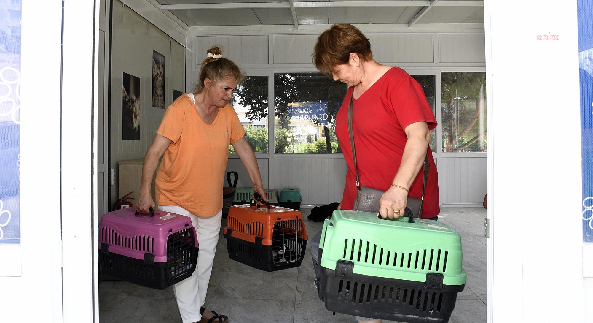 Kuşadası'ndaki Kedi Kısırlaştırma Merkezi, ilçe sakinlerinden tam not aldı
