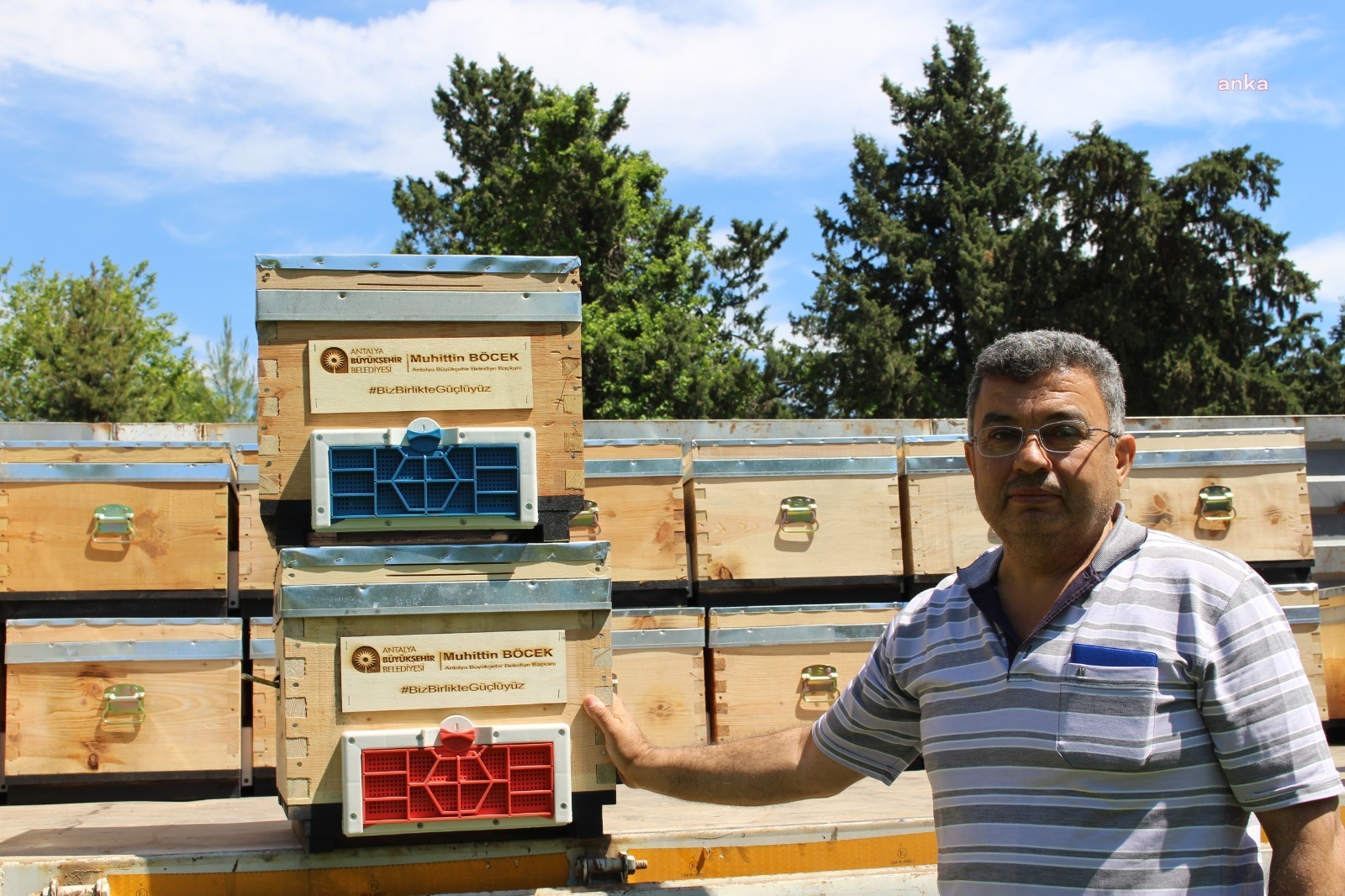 Antalya Büyükşehir Belediyesi’nin arı üreticilerine kovan desteği sürüyor