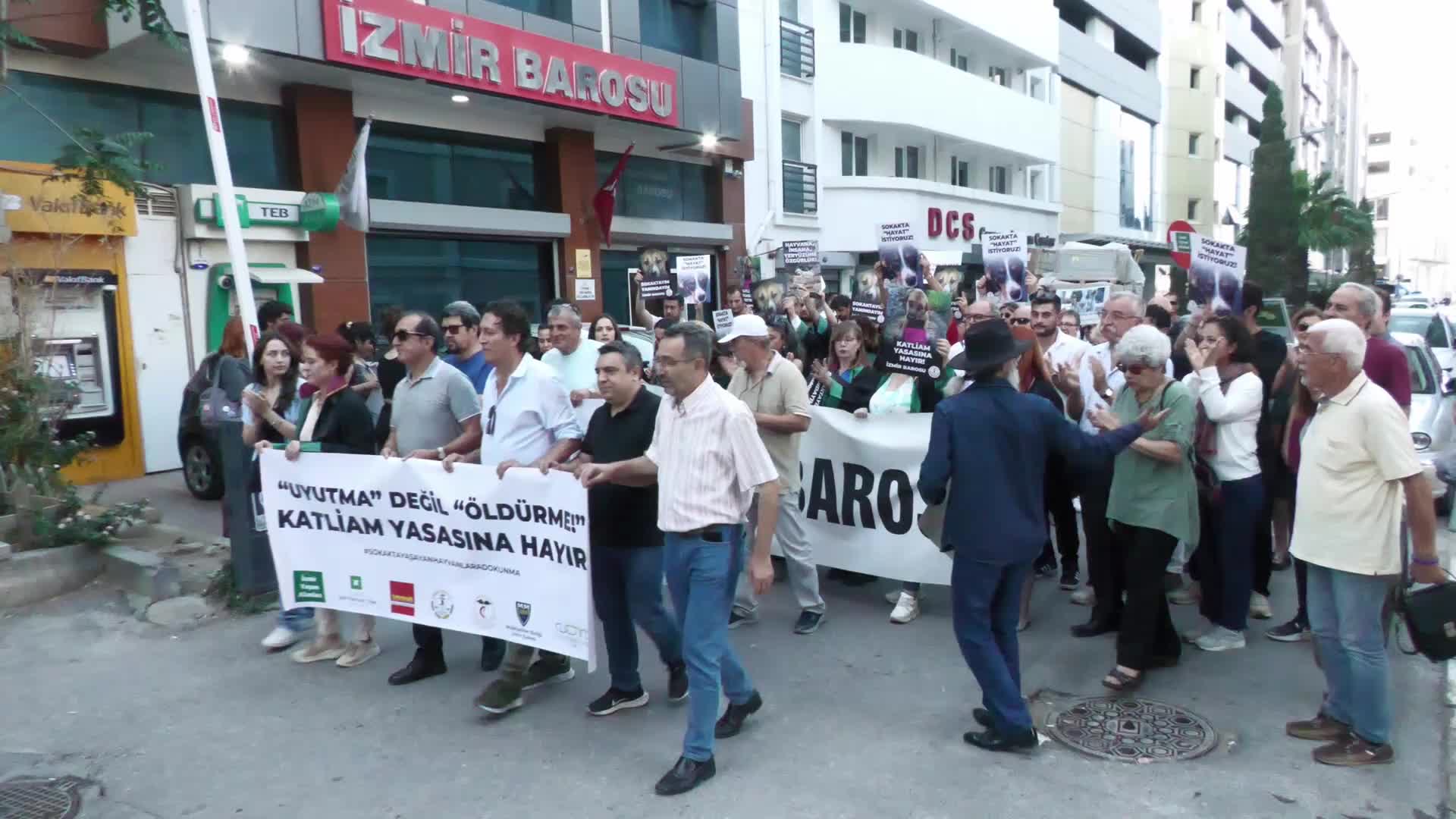 İzmir'de meslek örgütleri ve derneklerden sokak hayvanları düzenlemesine tepki: "Sokakta yaşayan hayvanlar yalnız ve savunmasız değildir"