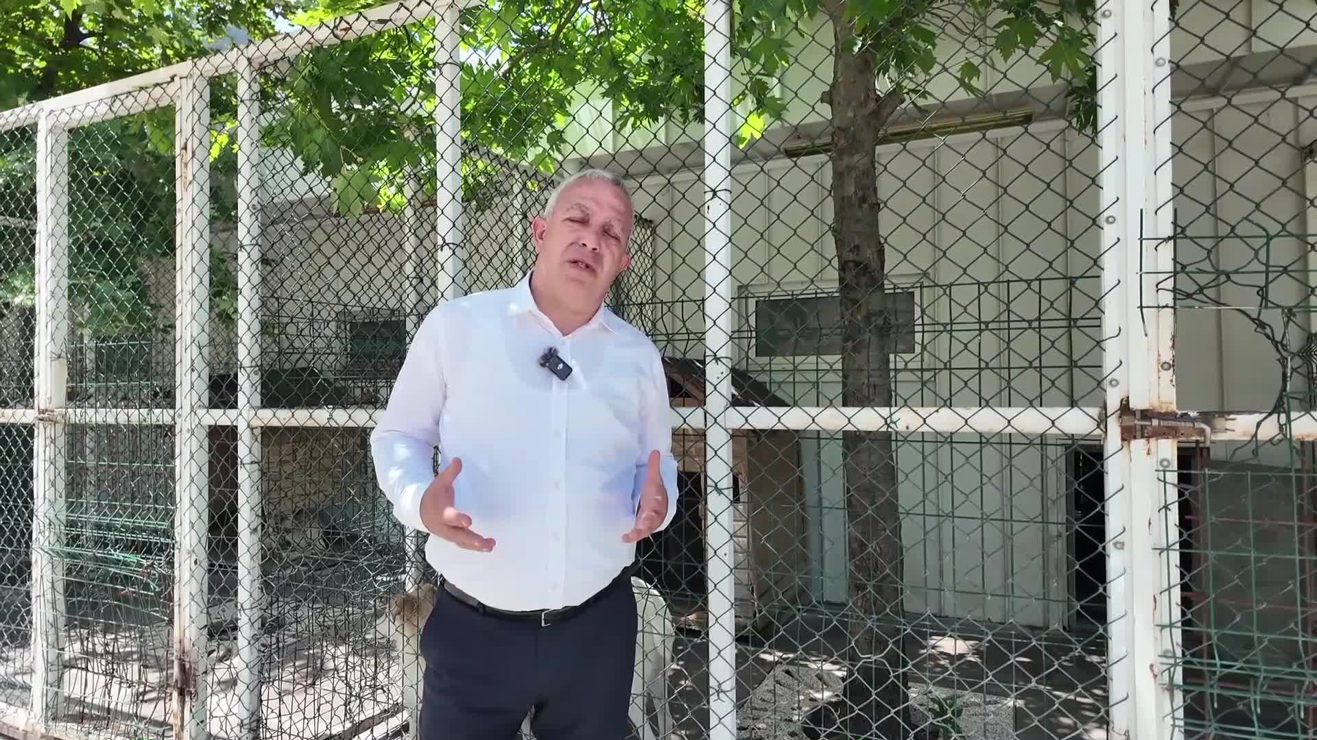 Artvin Belediye Başkanı Erdem, hayvan bakım merkezini ziyaret etti: "Biz öldürmeye değil, yaşatmaya talibiz"