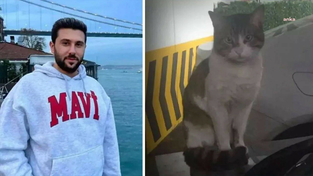 İstinaf, kedi ''Eros''u öldüren sanık İbrahim Keloğlan'ın cezasının artırılması istemini reddetti