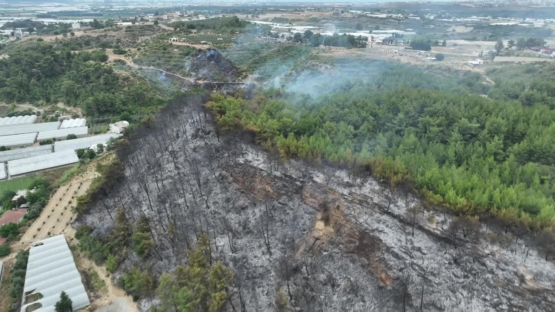 Antalya Büyükşehir itfaiye ekipleri, Aksu Çalkaya Mahallesi’nde çıkan yangını kontrol altına aldı