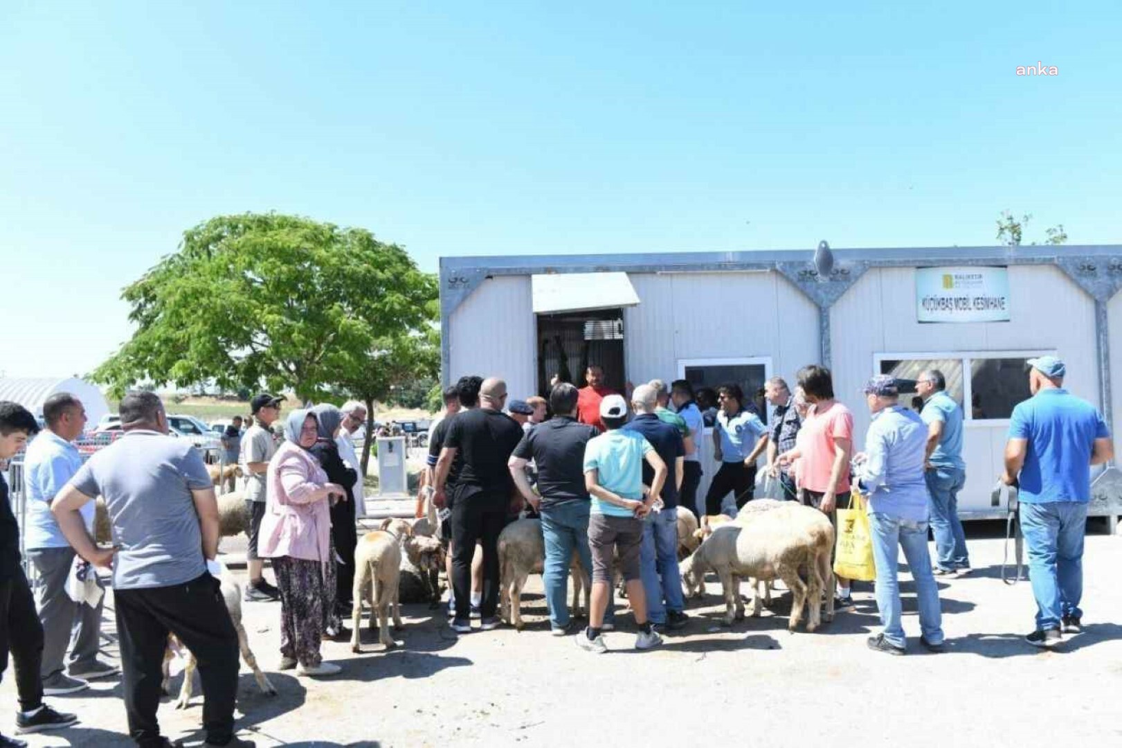 Altıeylül Belediyesi’nden kurban kesim hizmeti