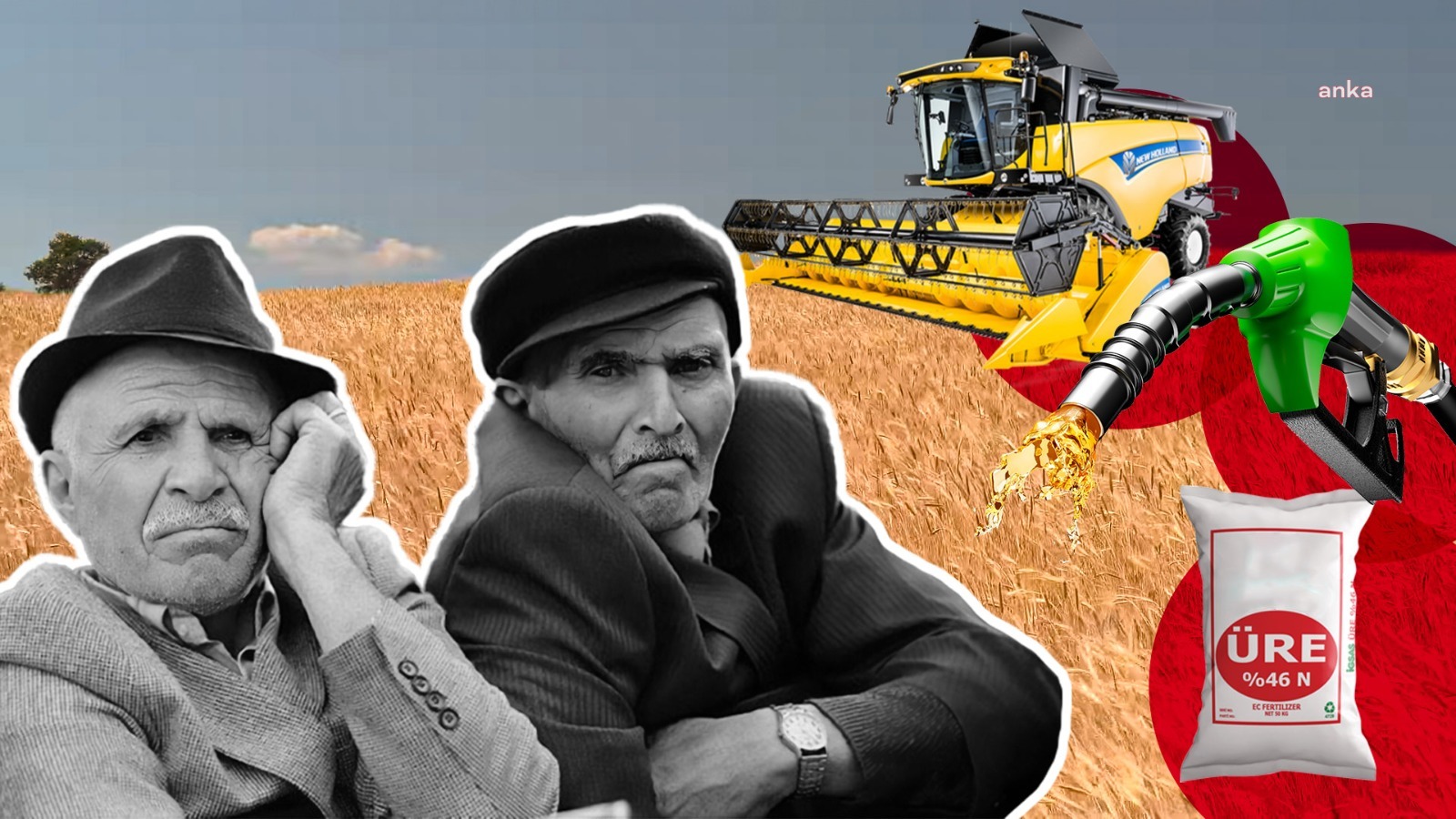 Hububat alım fiyatlarına tepki... "Bu fiyatları vermek, gelecek yıl 'buğday ve arpa üretmeyin' demek"