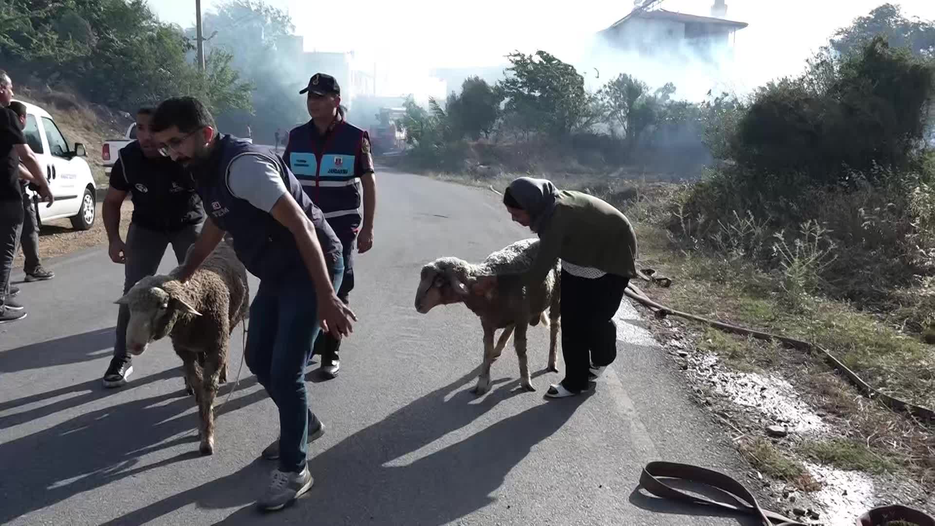 Manavgat’ın Evrenseki ve Kızılağaç mahallelerinde çıkan yangınlar kontrol altına alındı