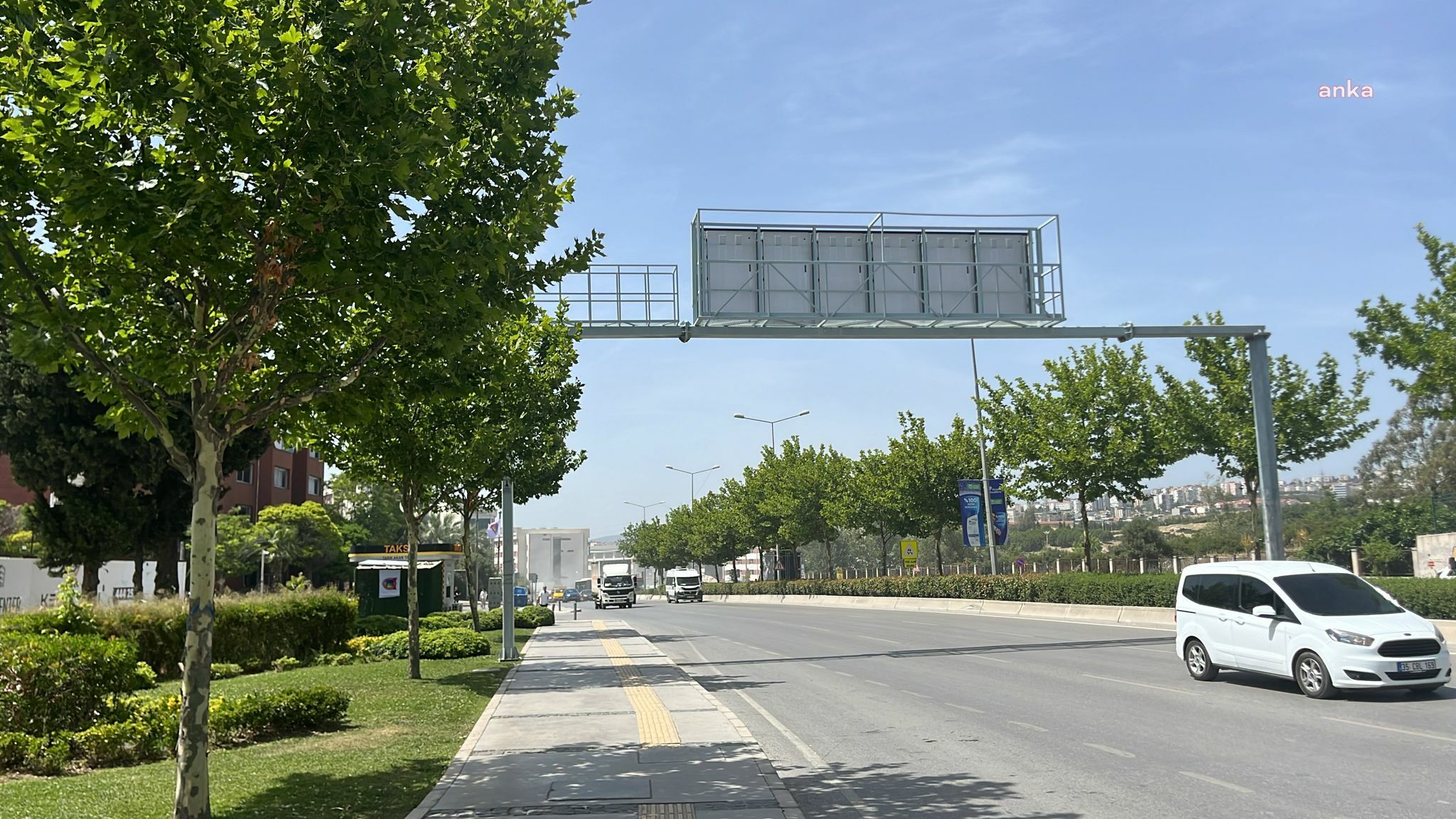 İzmir'de ağaçlar taşınarak koruma altına alınacak