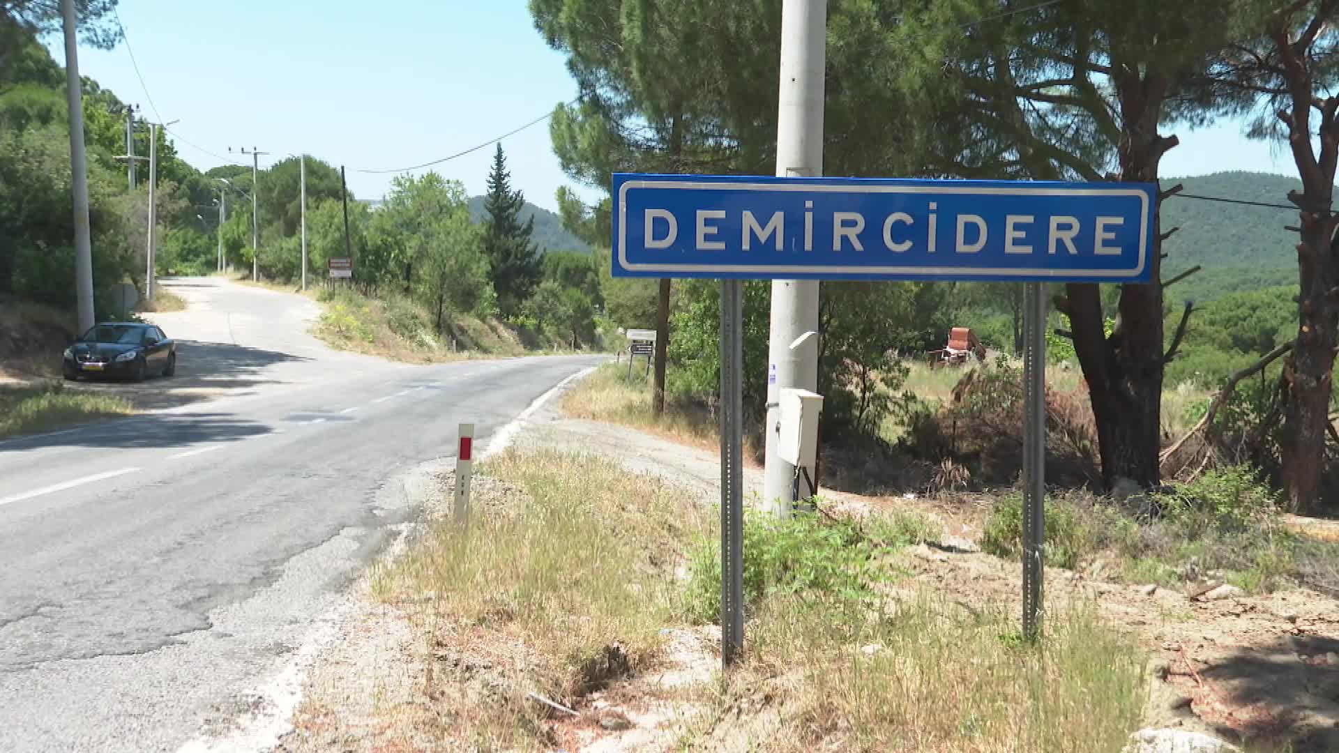 Kozak üzümleri küllerinden doğuyor