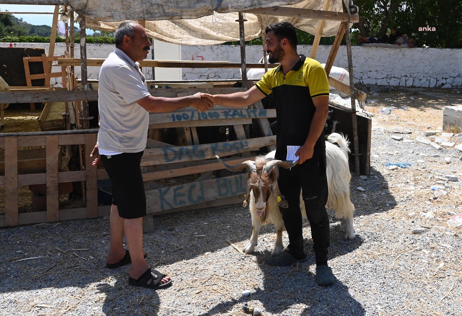 Kuşadası Belediyesi, satış ve kesim alanlarıyla bayrama hazır