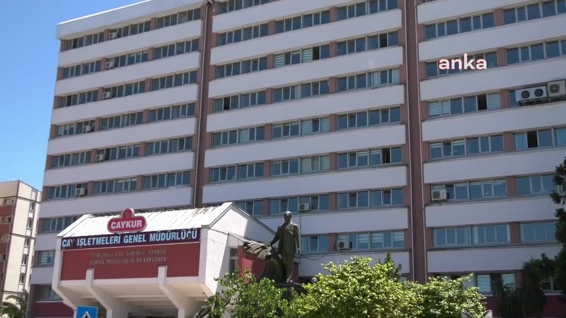 CHP Rize İl Örgütü: "Çay ve budama bedellerini üreticiye bayram öncesi ödeyin, bayramı zehir etmeyin"