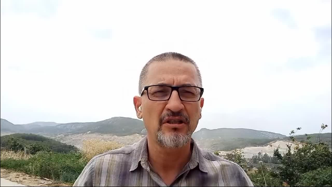 Akbelen Ormanı'ndan ağaç kesimi...