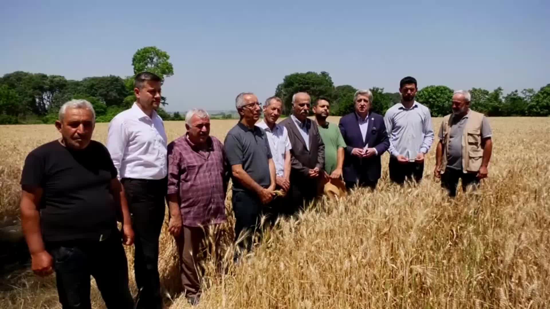 Bafralı çiftçi: "Çalışırken batıyoruz. Çalışmanın bir anlamı kalmadı ki, çalışmayanlar bizden daha rahat"