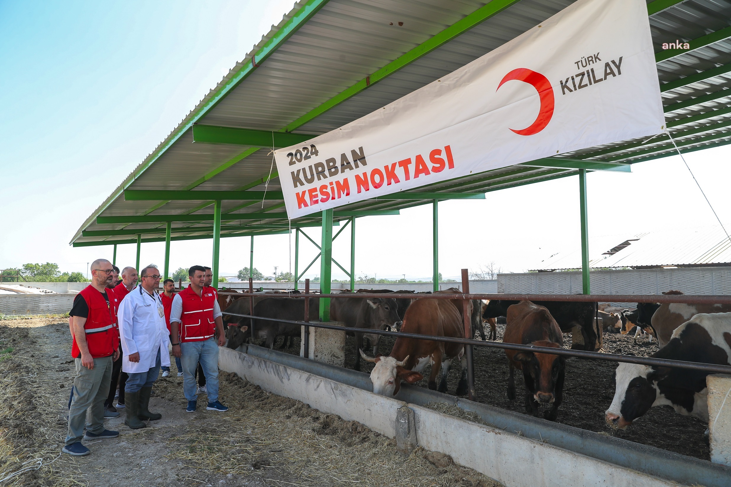 Türk Kızılay, yurt içinde ve 19 ülkede kurban kesimlerine başladı