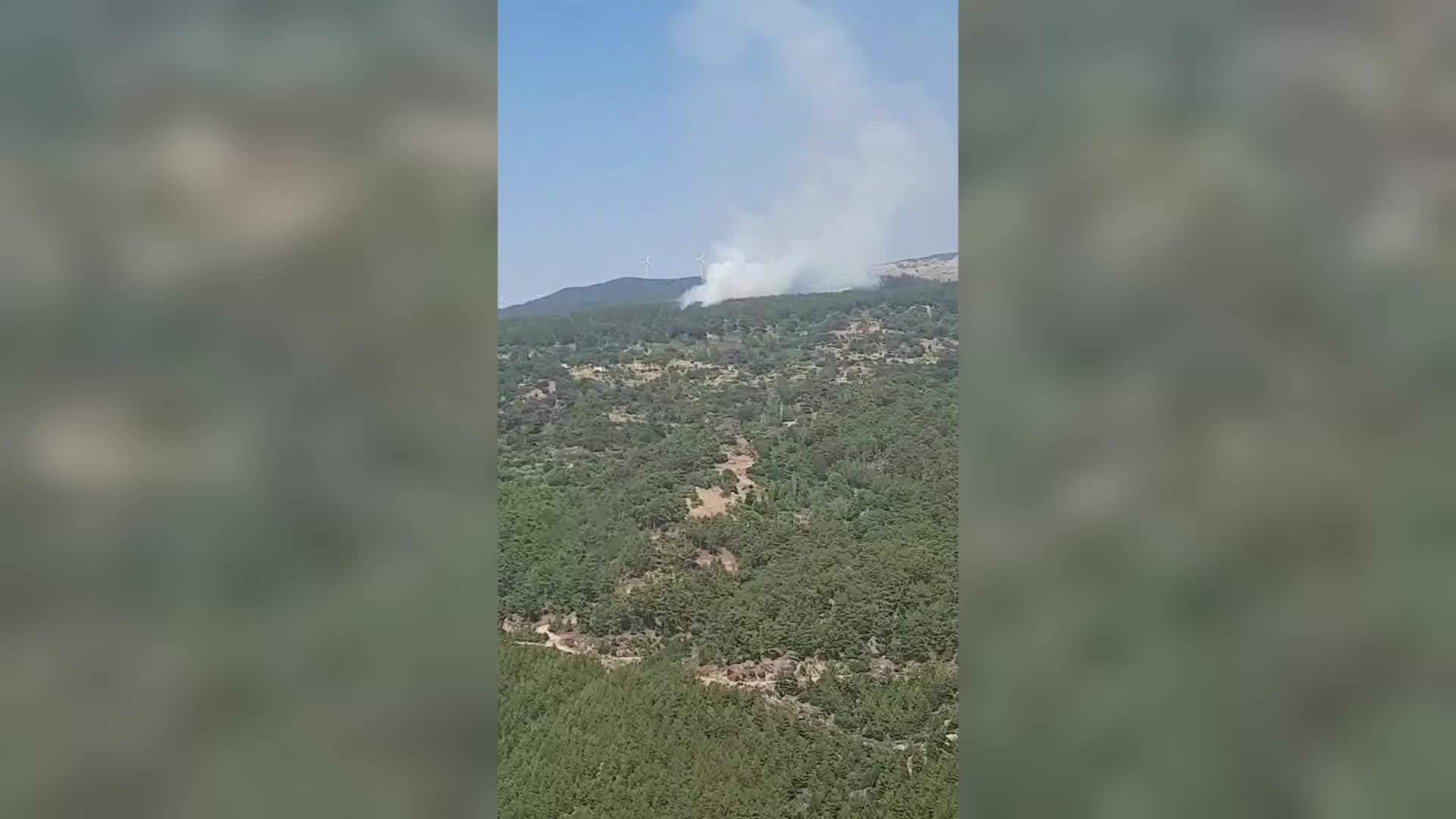 Aydın Çine’de orman yangını