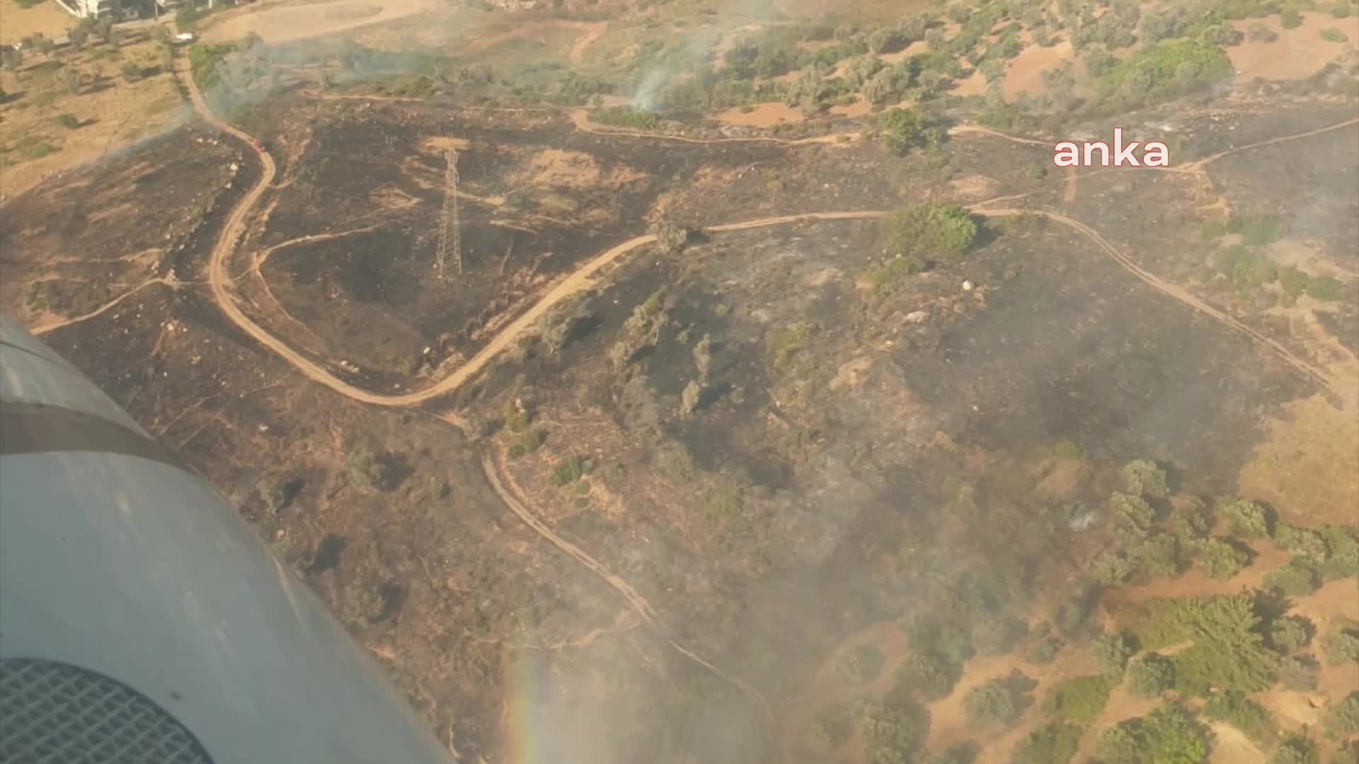 İzmir Buca'da bir orman yangını daha çıktı