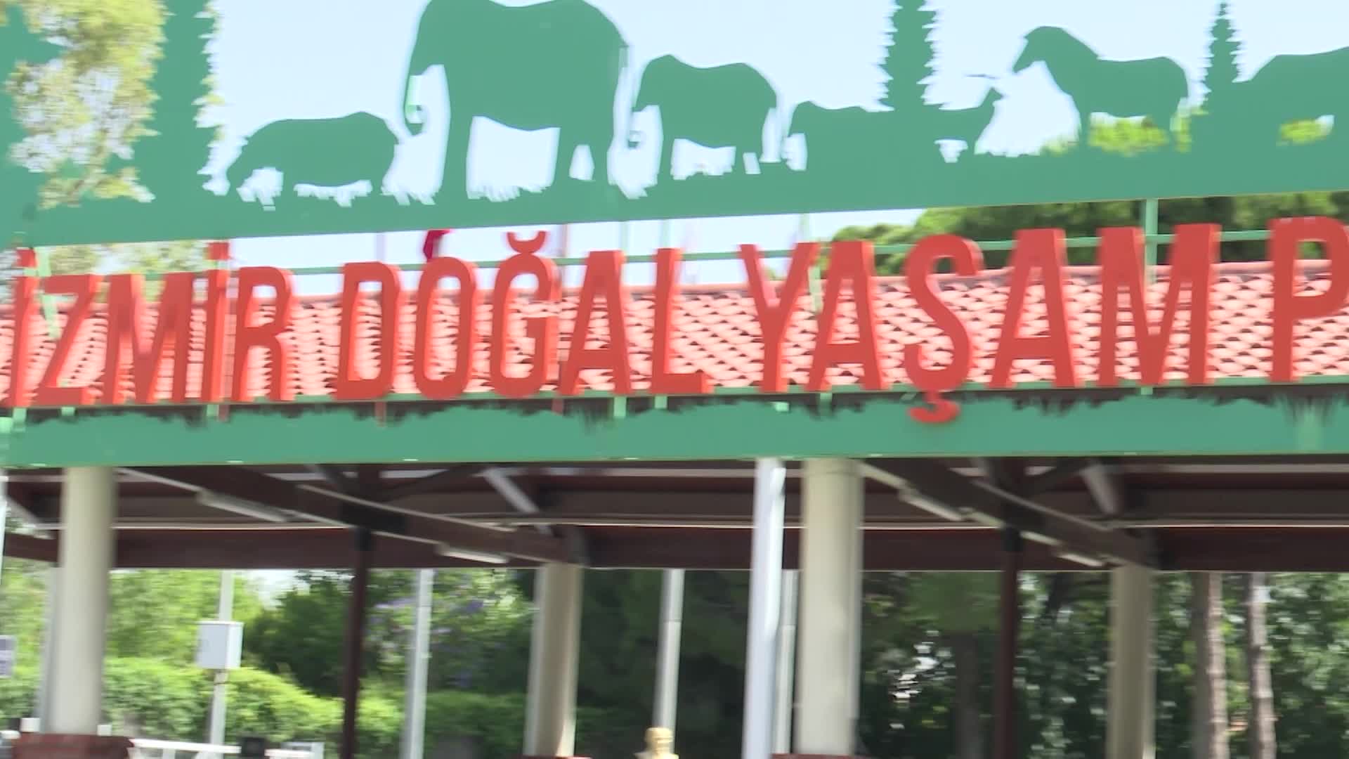 İzmir’in fili Ege 3 yaşında