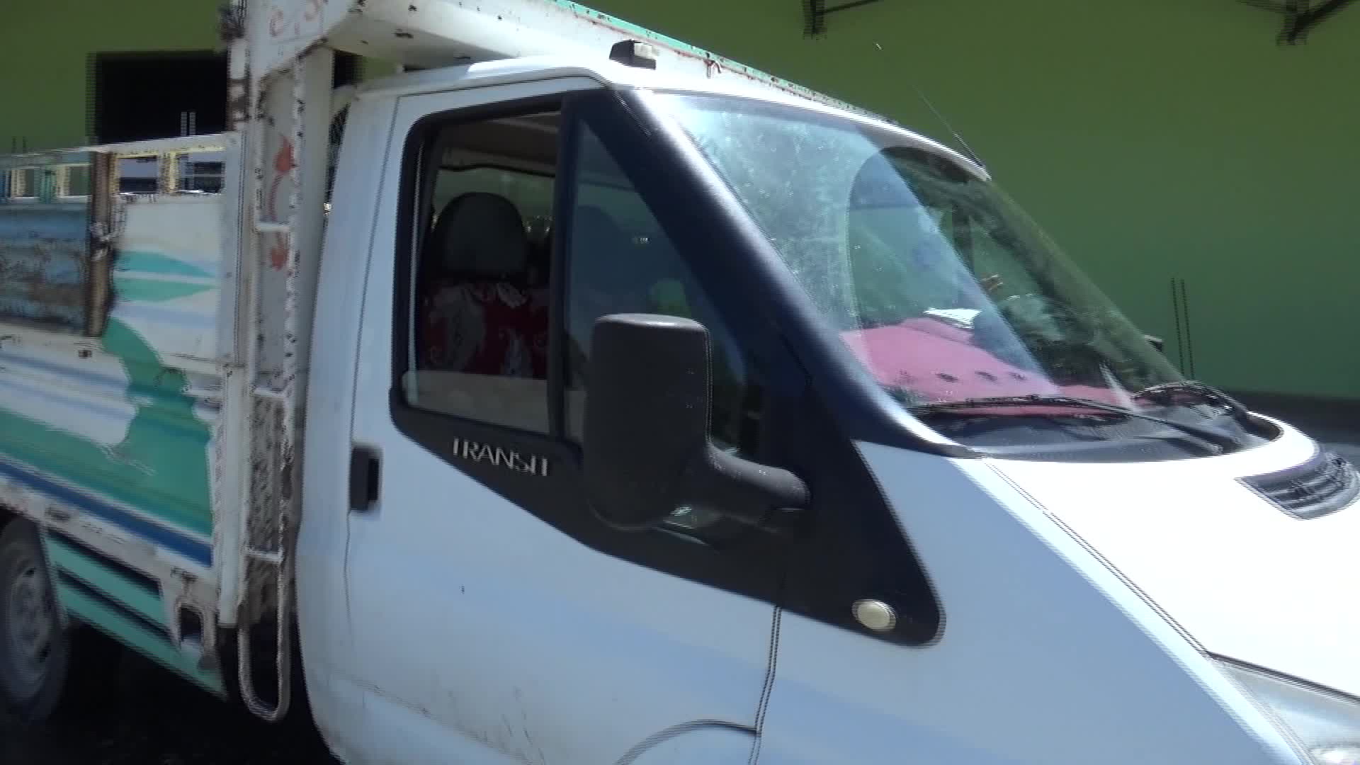 Iğdır'da kayısı hasadı başladı