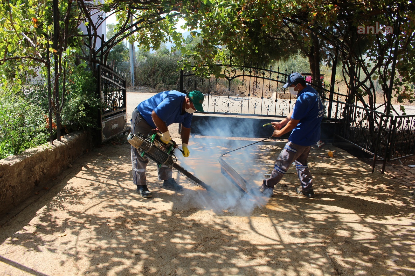 ANTALYA'DA VEKTÖREL MÜCADELE HIZ KESMİYOR
