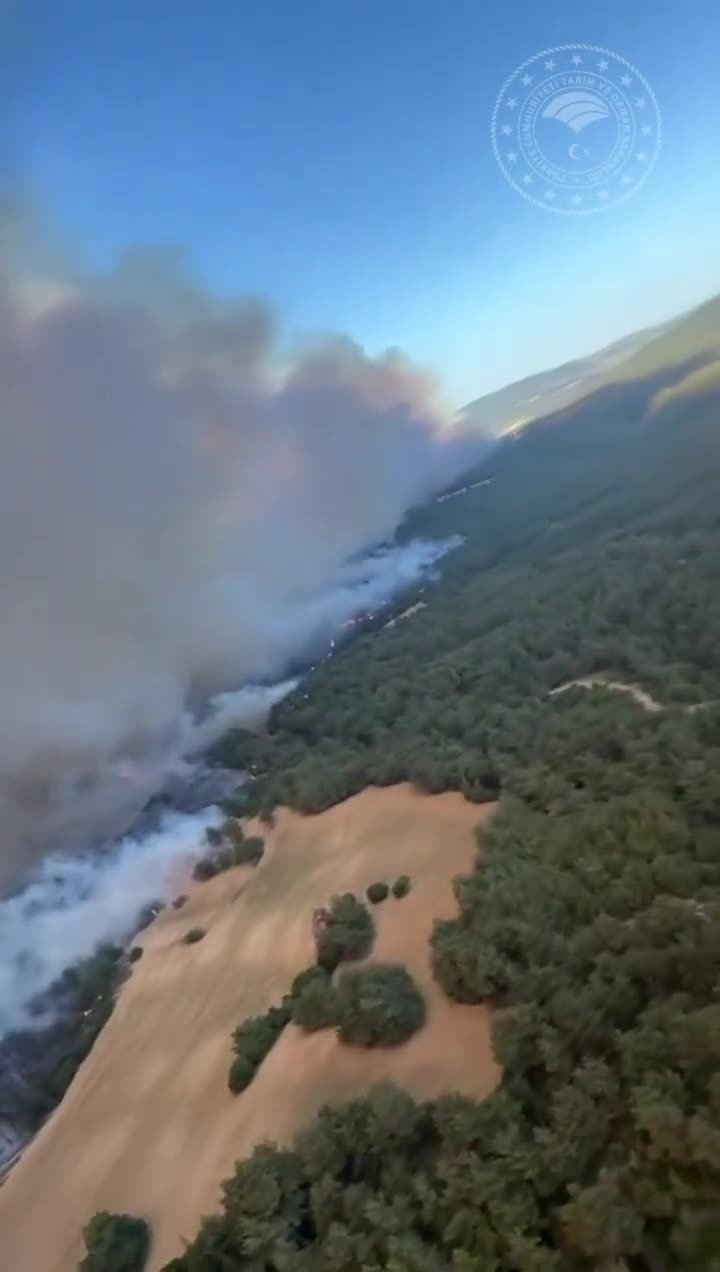 Çanakkale'deki orman yangını kontrol altına alındı... Tarım ve Orman Bakanı Yumaklı: "5 gün boyunca Çanakkale'de mevsim normallerinin çok üzerinde sıcaklık görülecek. Hassasiyet gösterilmesini istirham ediyorum"