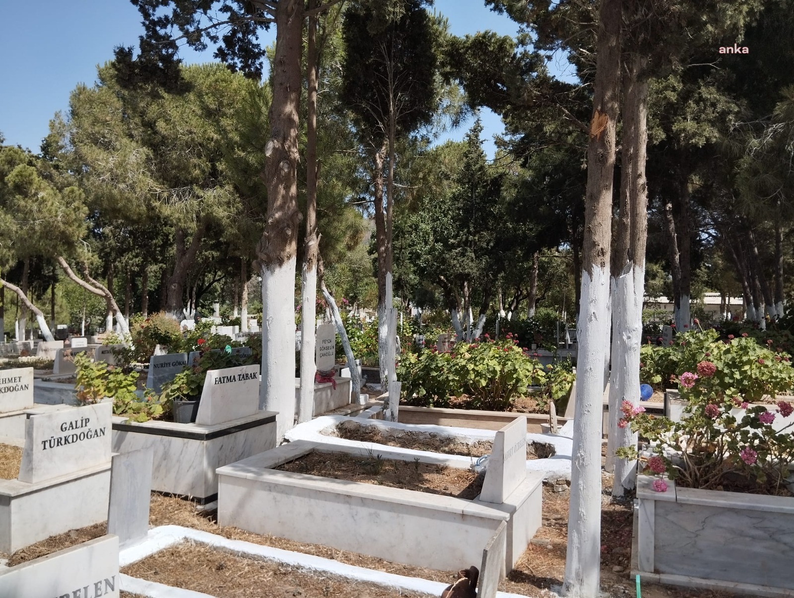 Bodrum Belediyesi Cenaze Hizmetleri Birimi, çalışmalarını sürdürüyor
