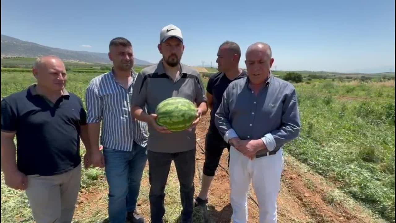 Manisalı karpuz üreticisi: "Bu işten para kazanamıyoruz"
