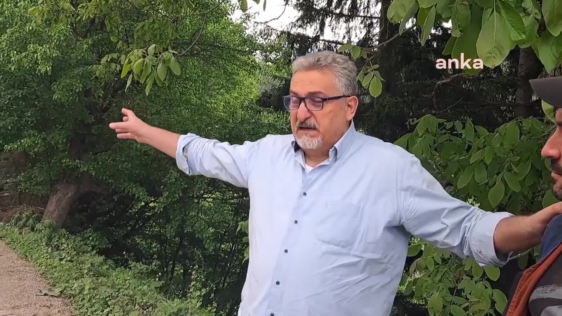 Artvin Şavşat'ta Sahara Milli Parkı'nda ağaç kesimine tepki: "Böyle bir kesimle böcek zararının önlendiği dünyada görülmüş değil"