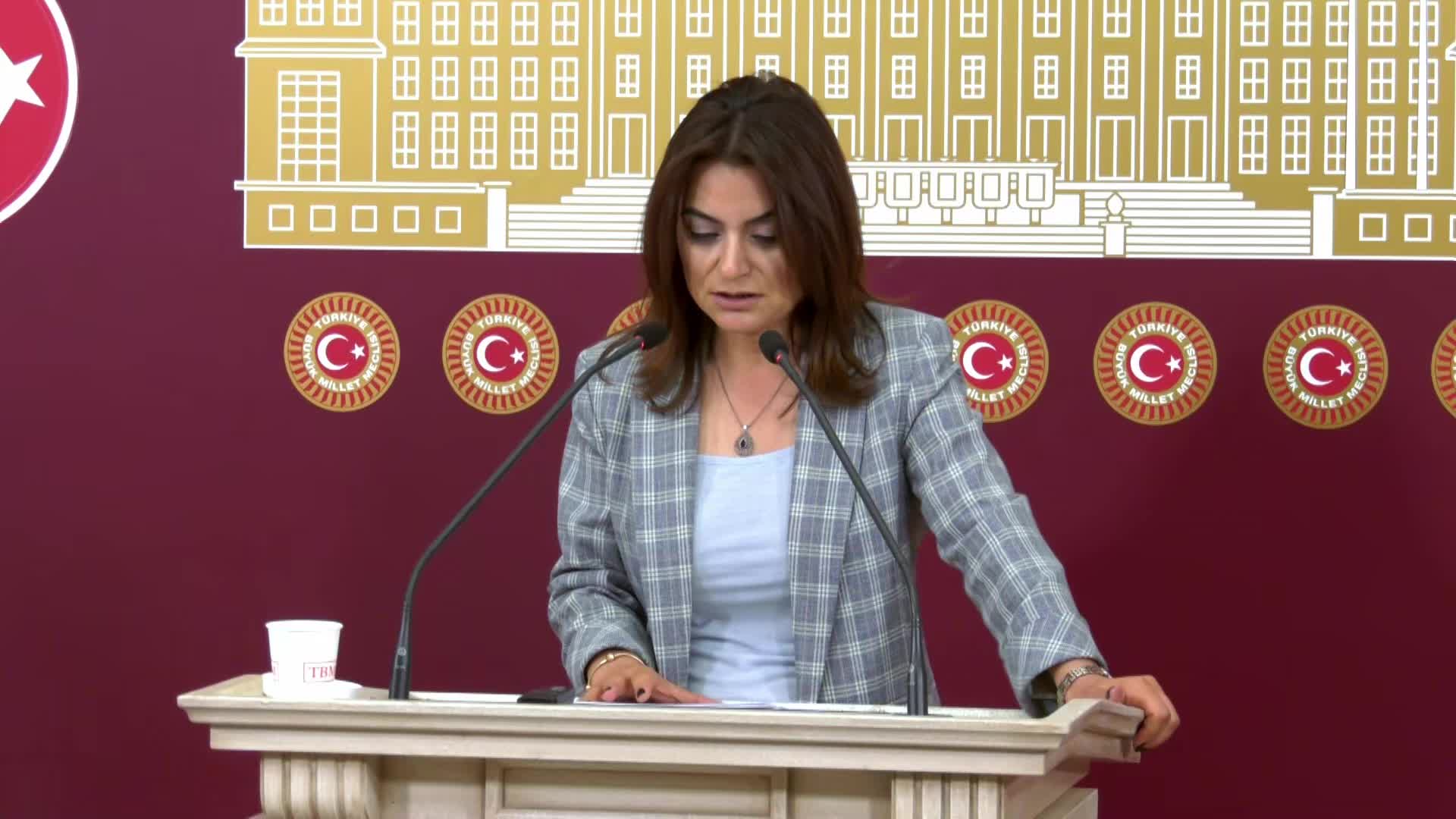 Gülüstan Kılıç Koçyiğit’ten iktidarın Diyarbakır ve Mardin’deki yangın açıklamalarına tepki: Herkes ağız birliği etmişçesine DEDAŞ’ın sorumluluğunu ve suçunu örtbas etmeye çalışıyor