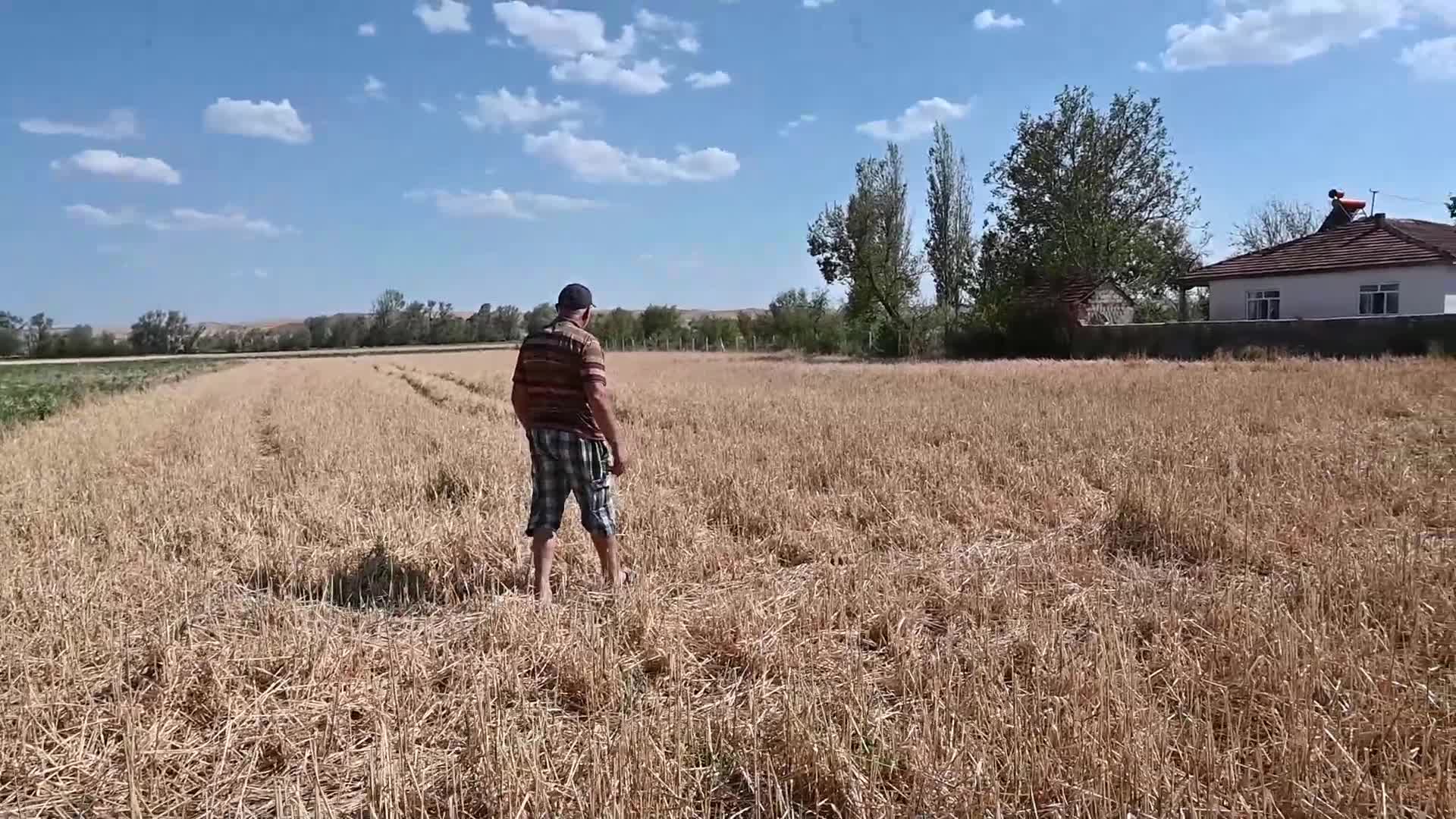 Yozgat’ta sel ve dolu mağduru çiftçiler: "Kimse halimizi sormuyor, vatandaş olarak garip kaldık"