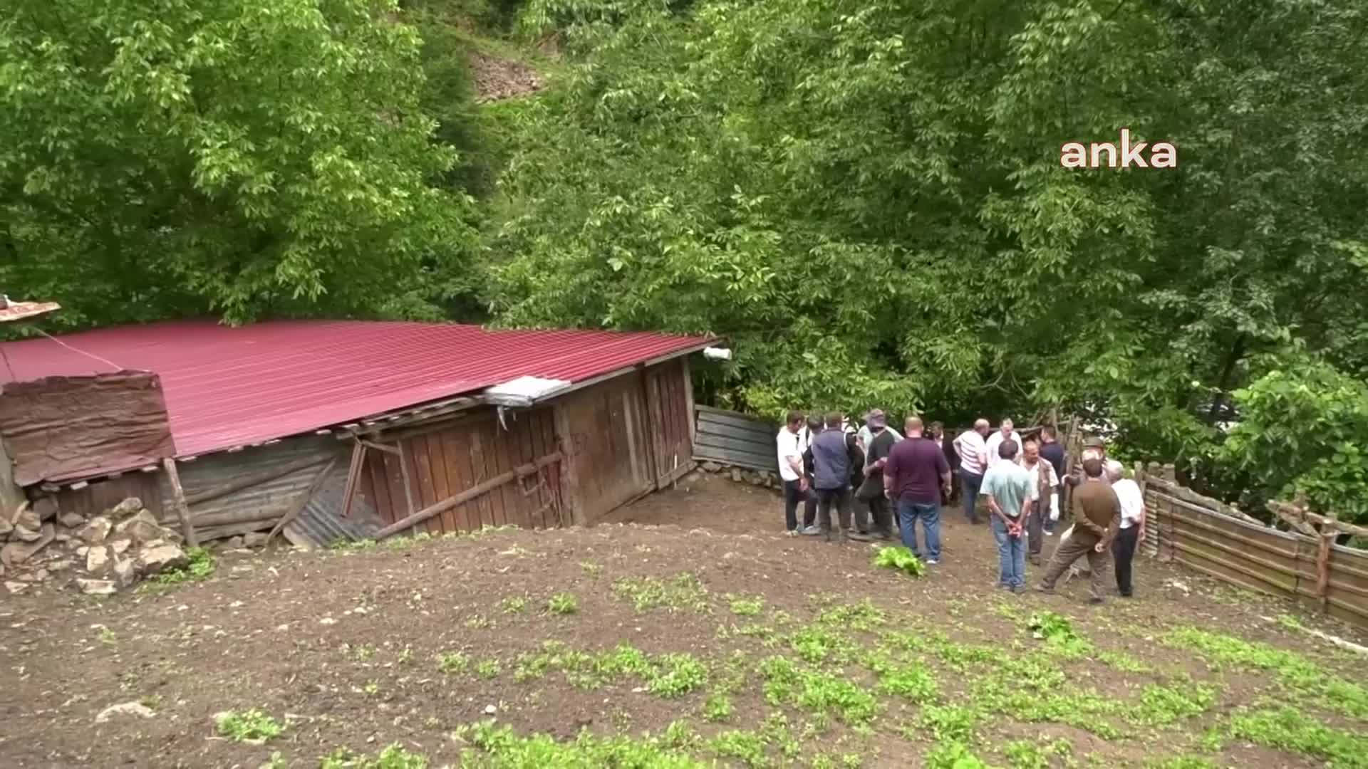 Trabzon'da, keçi sürüsünün "kaçak otlatılması" yüzünden keçilerin sahibiyle kamu kurumları karşı karşıya geldi