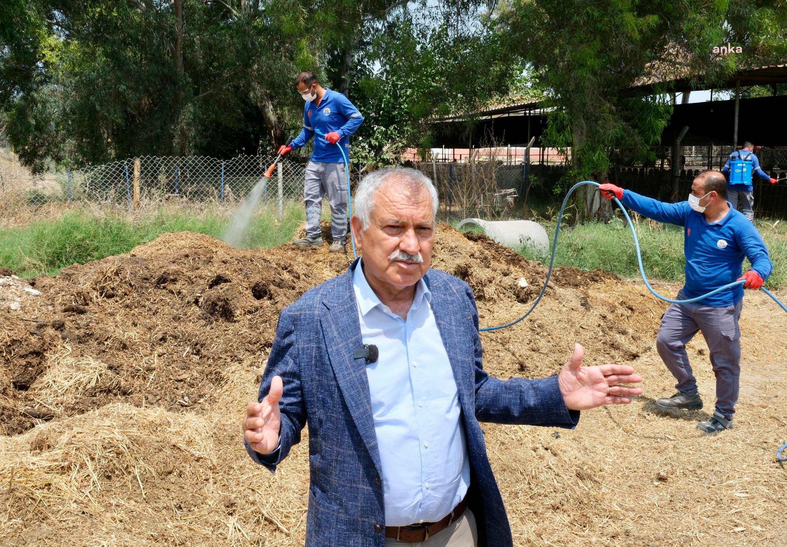 Adana Büyükşehir Belediyesi’nden Akdeniz meyve sineği ile yoğun mücadele