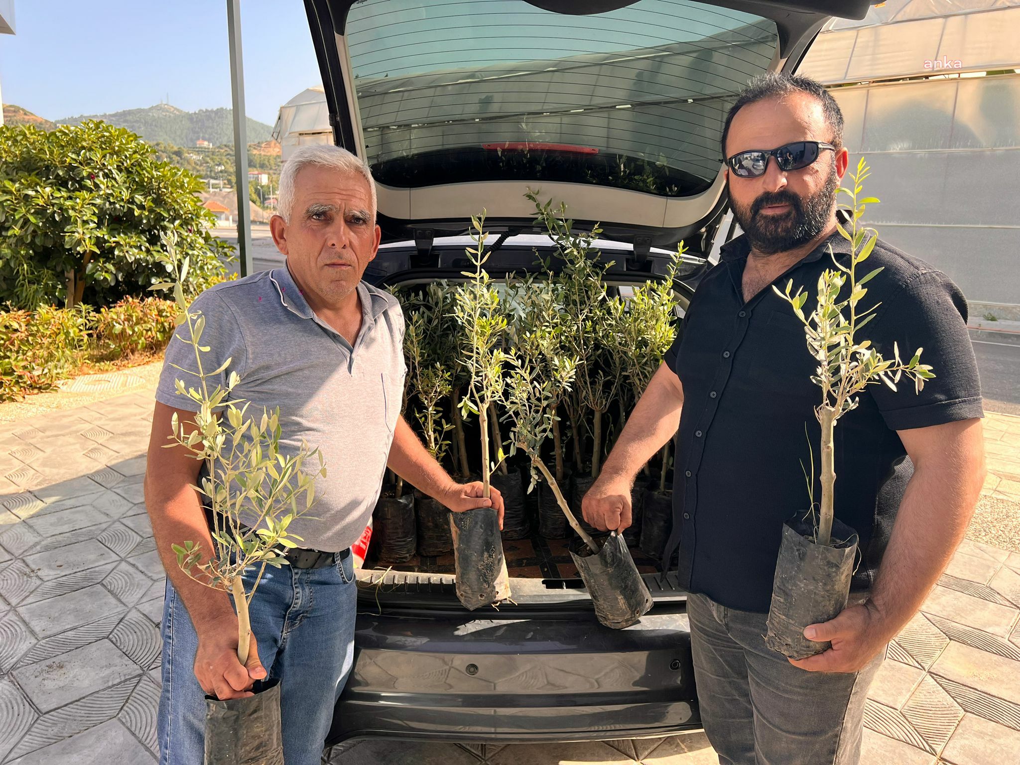 Antalya Büyükşehir'den Gazipaşalı çiftçilere zeytin fidanı desteği