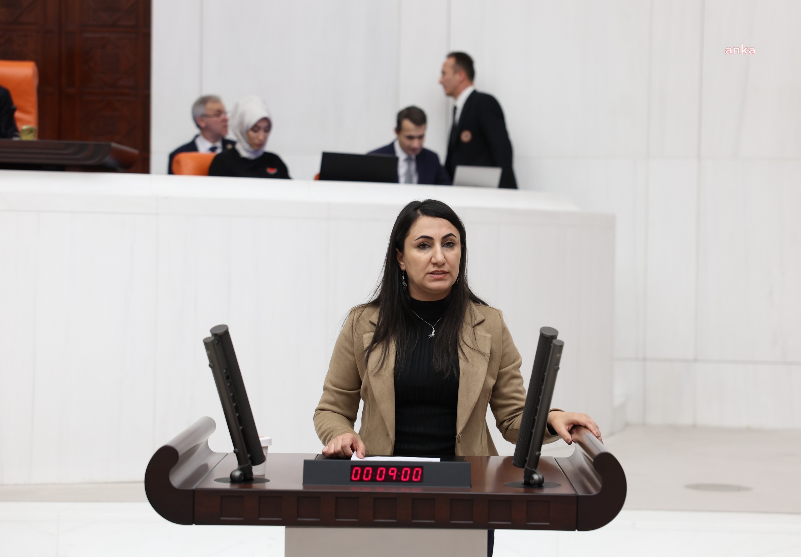 DEM Parti Milletvekili Oduncu'dan Bakan Şimşek'e:  “Çift maaşlı bürokratlarınıza ne yapacaksınız?”