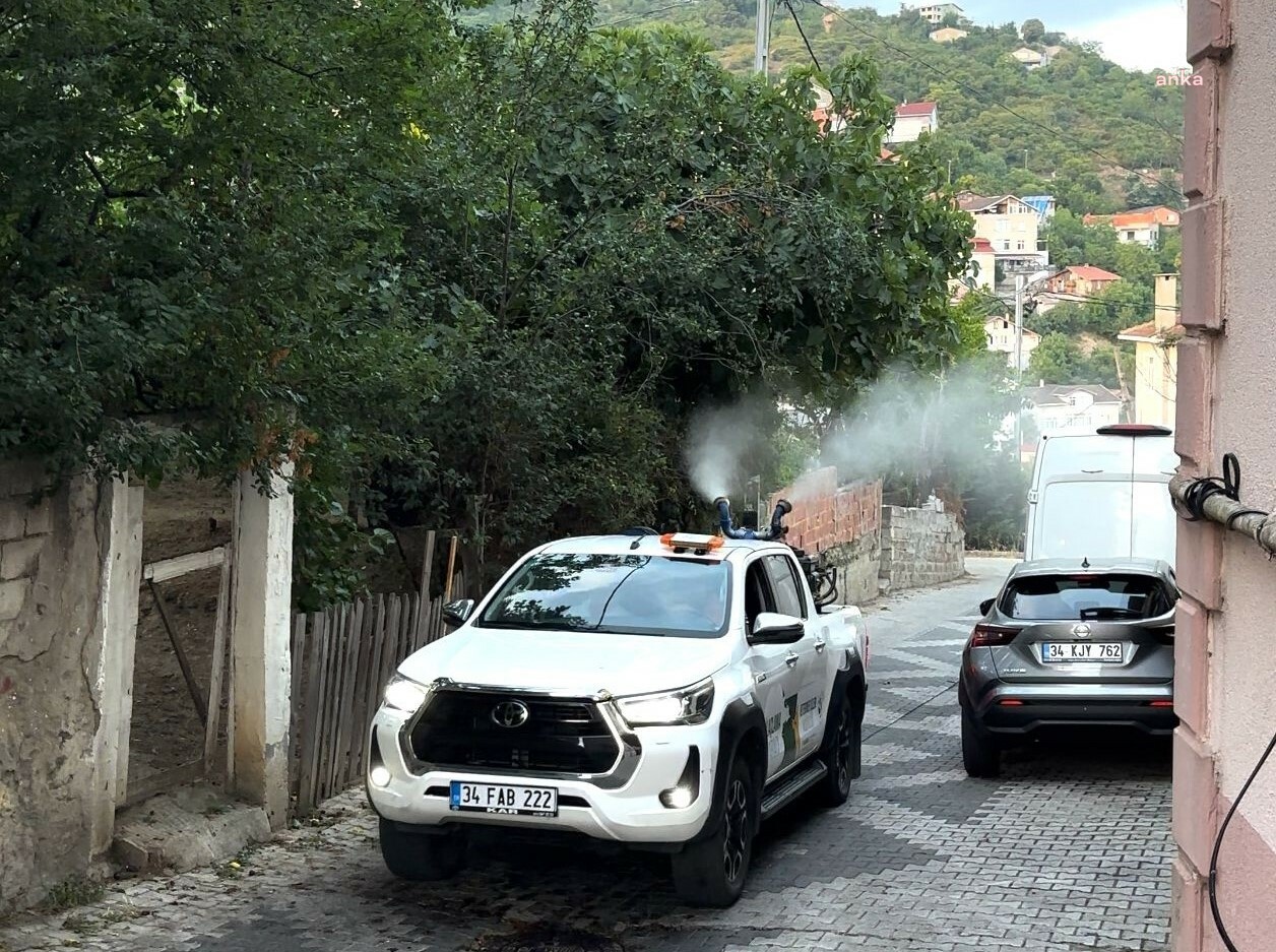 İstanbul Büyükşehir ve Beykoz Belediyesi'nden sivrisinekle ortak mücadele