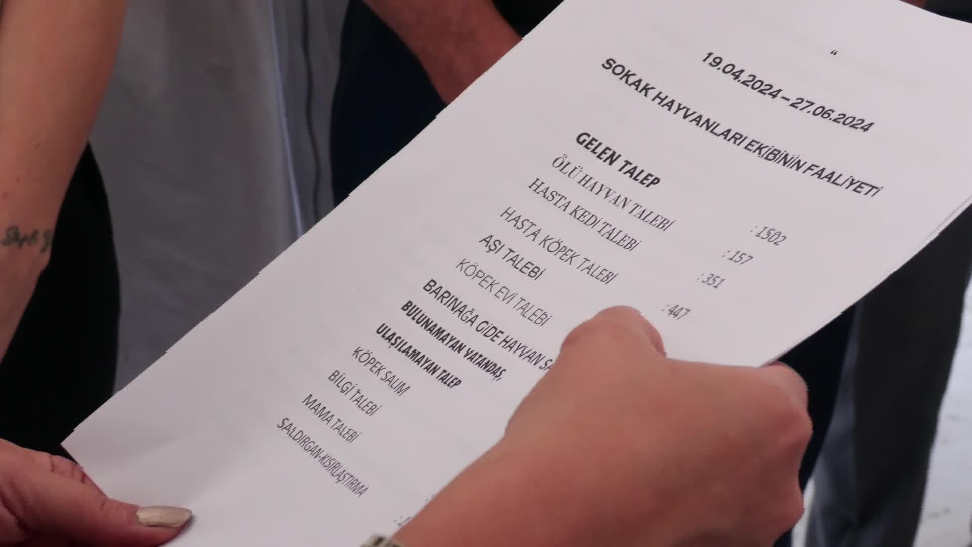 Manisa Büyükşehir Belediye Meclisi Sokak Hayvanları Komisyonu'ndan can dostlar için üç önemli karar