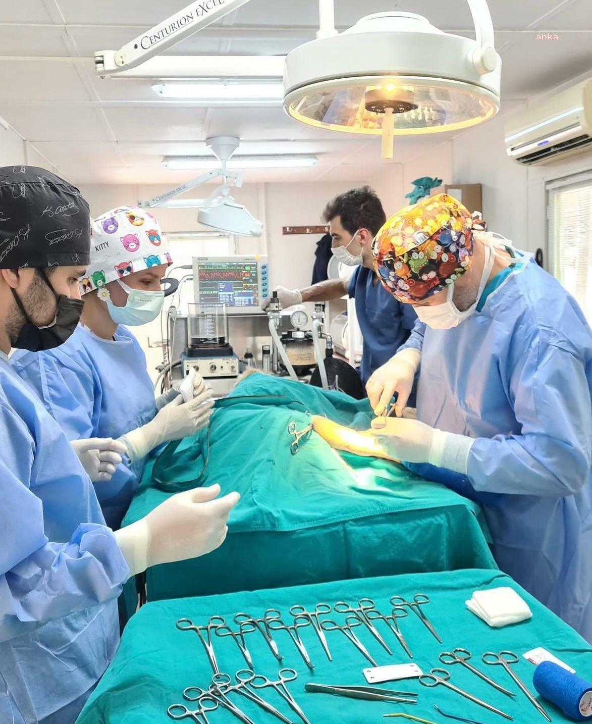 Osmangazi Belediyesi, 6 ayda 2 bin 170 kedi ve köpeği kısırlaştırdı