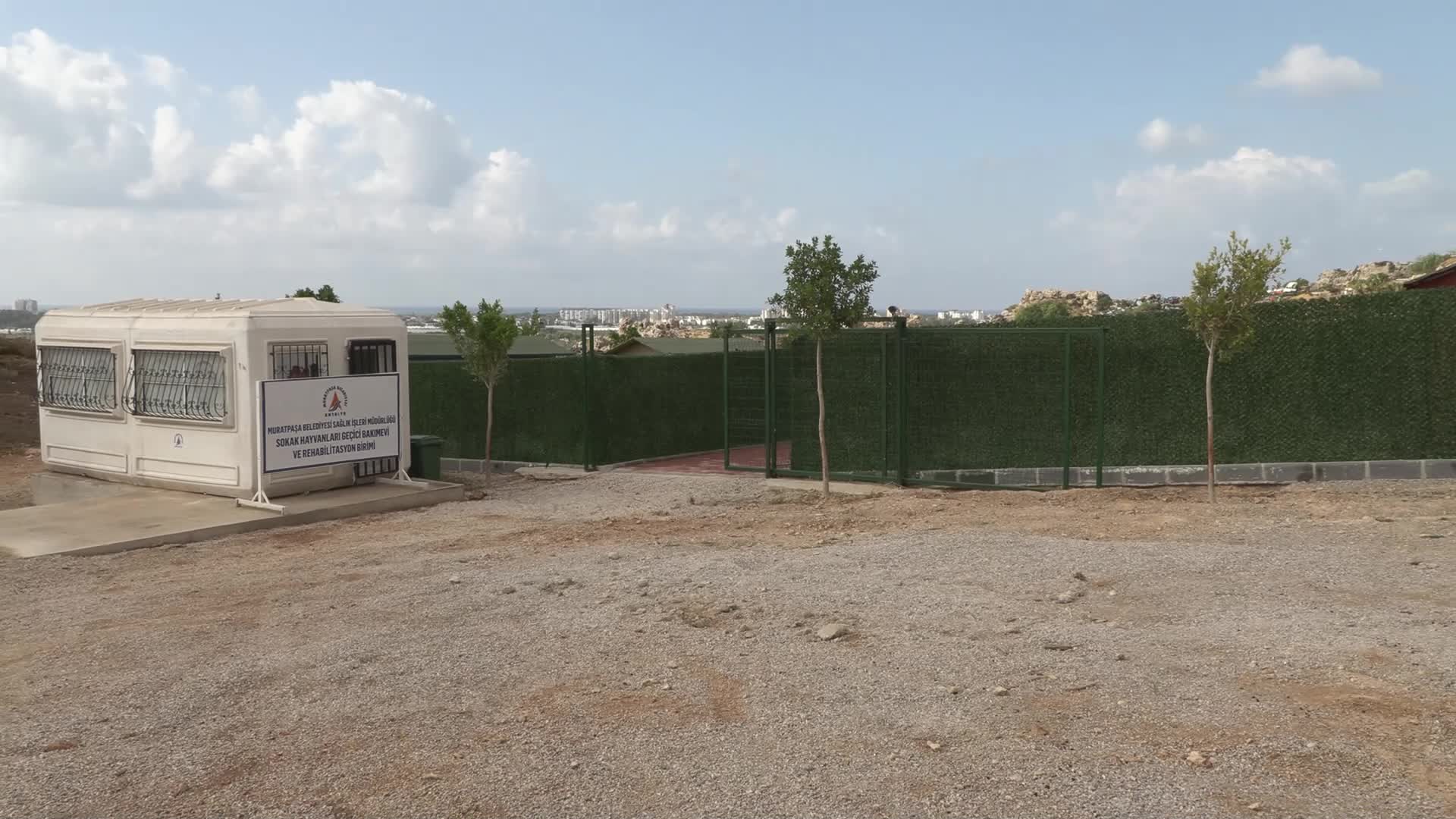 Muratpaşa Belediye Başkanı Uysal’dan Sokak Hayvanları Geçici Bakımevi'nde inceleme