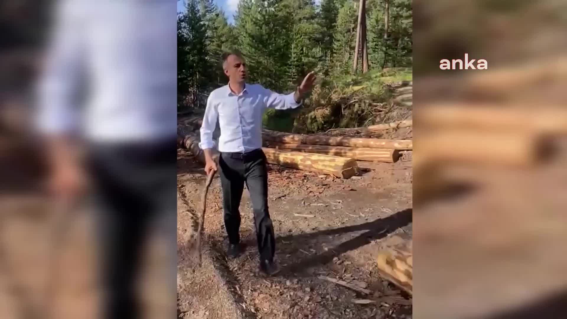 Ardahan Göle Dernekler Federasyon Genel Başkanı Eren Küpeli, ormanda kaçak kesim yapıldığını ileri sürdü, STK ve siyasilere çağrı yaptı: 'Bu katliamı durduralım"
