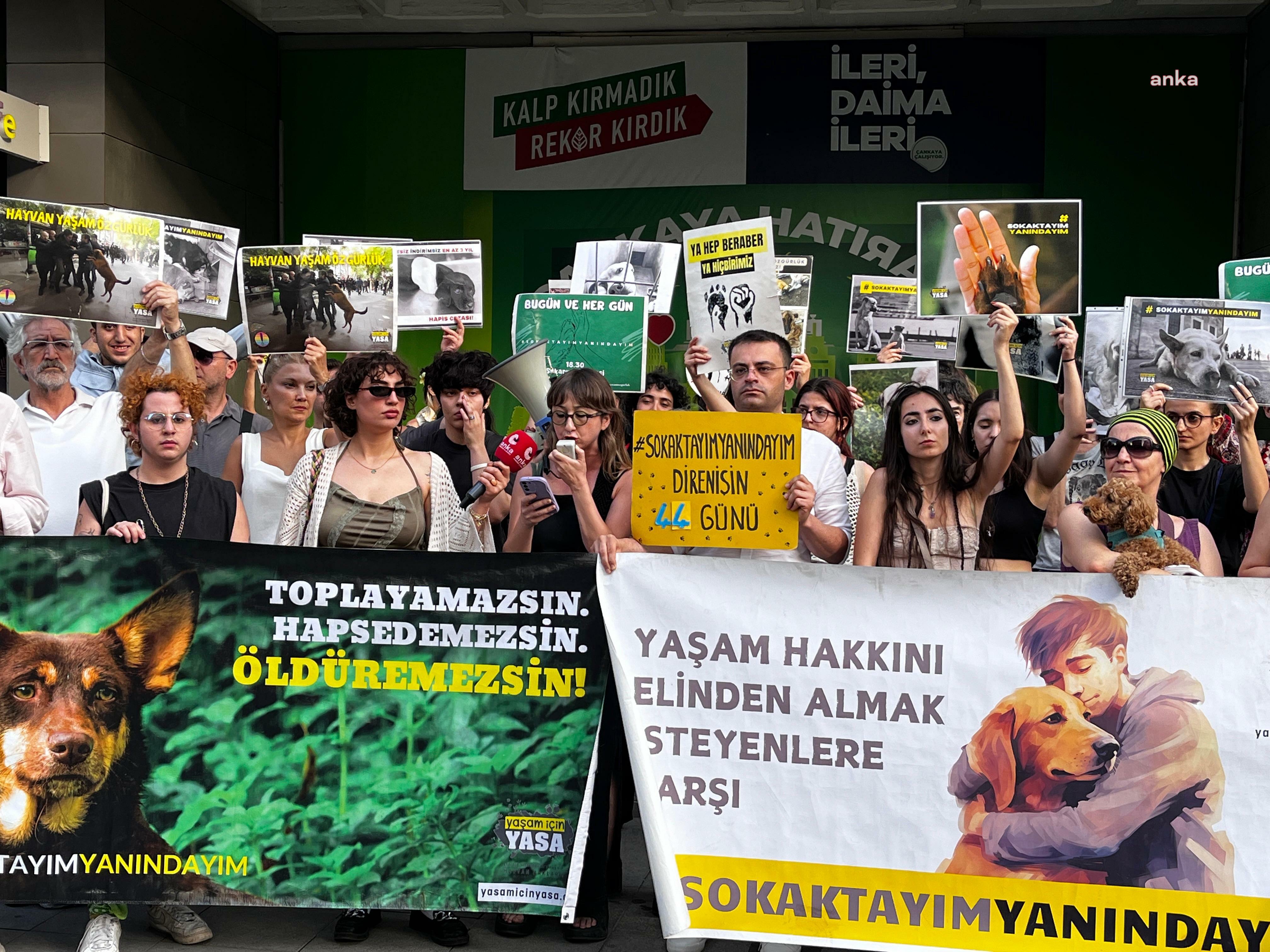 Yaşam İçin Yasa İnisiyatifi, 44 gündür hayvan hakları nöbetinde: "Kısırlaştırın, aşılatın, yerinde yaşatın"