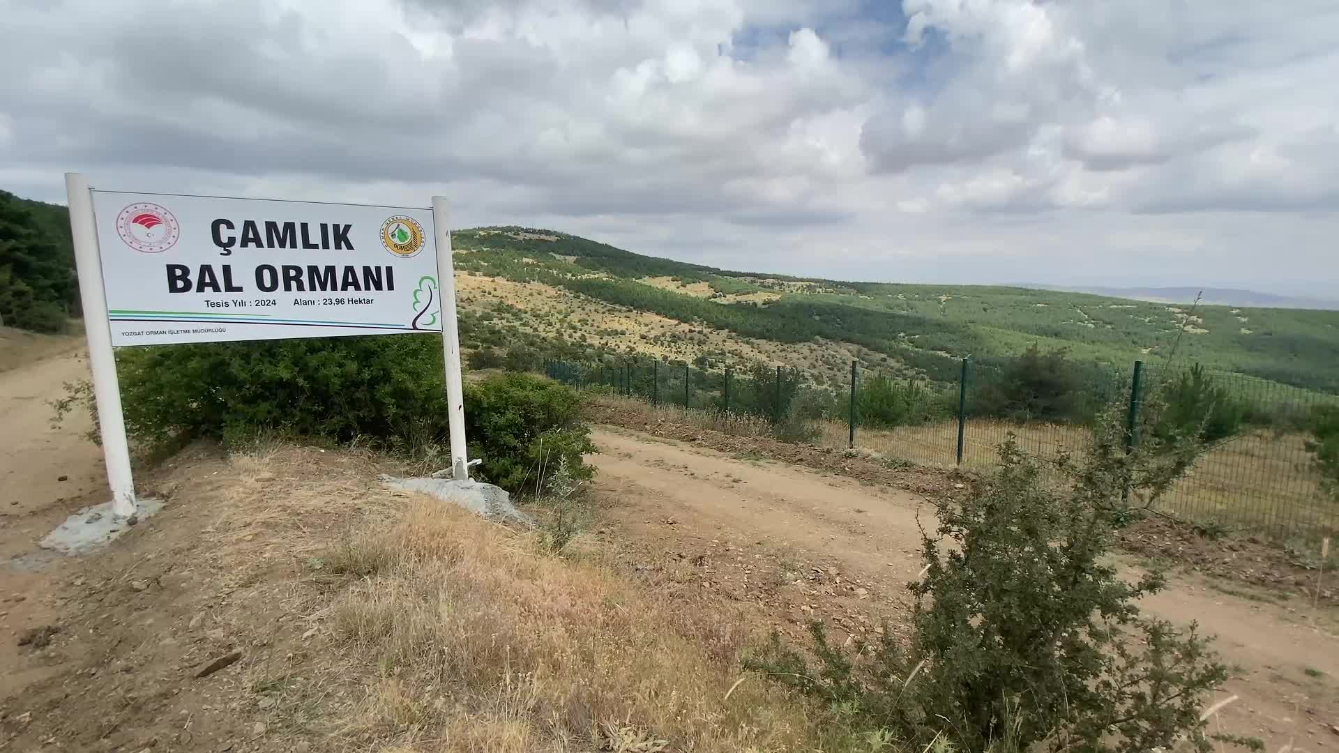 Yozgat’ta  ‘bal ormanı’ alanları genişletiliyor