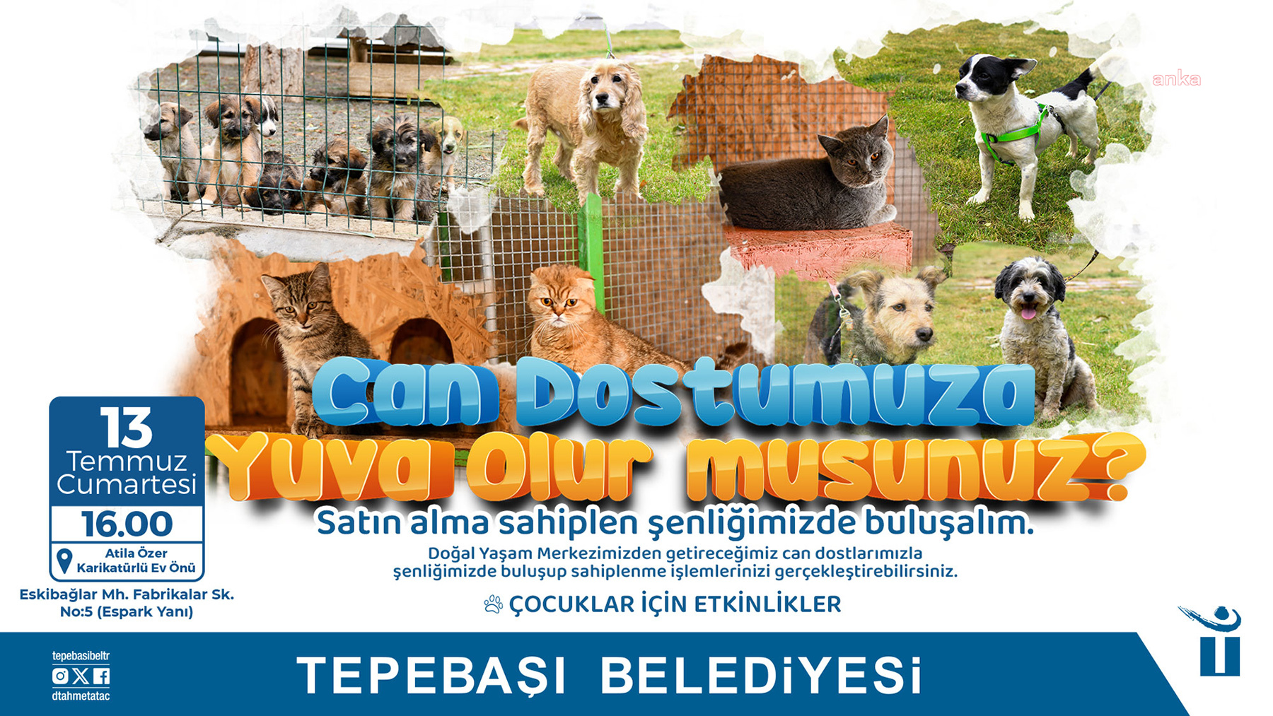 Tepebaşı Belediyesi, can dostları düzenleyeceği etkinlikte sahiplendirecek