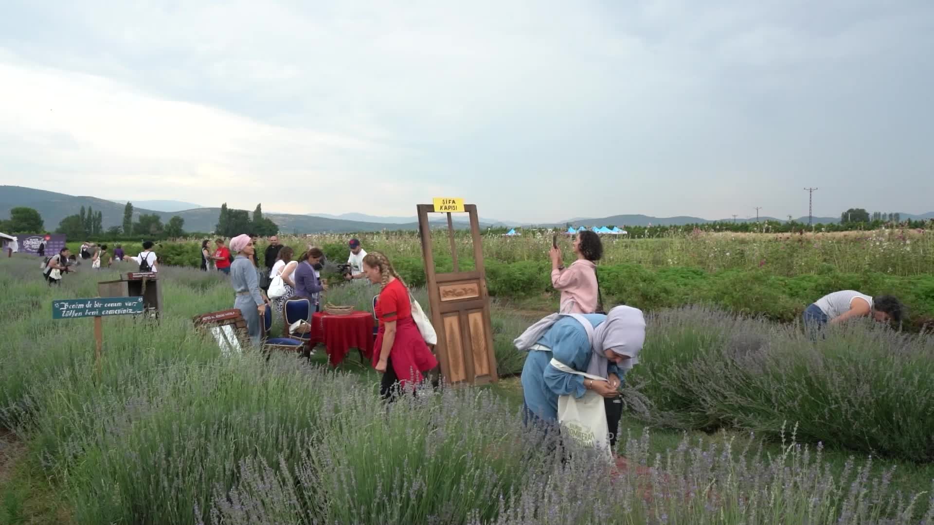 “Balıkesir 5. Aromaterapi Festivali” renkli görüntülere sahne oldu