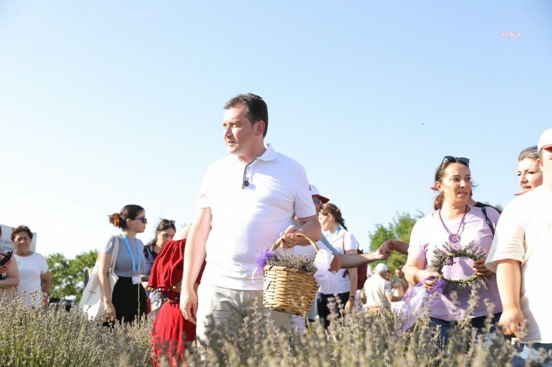 Silivri Belediyesi'nin Lavanta Hasat Şenliği doğa ve tarım tutkunlarını buluşturdu