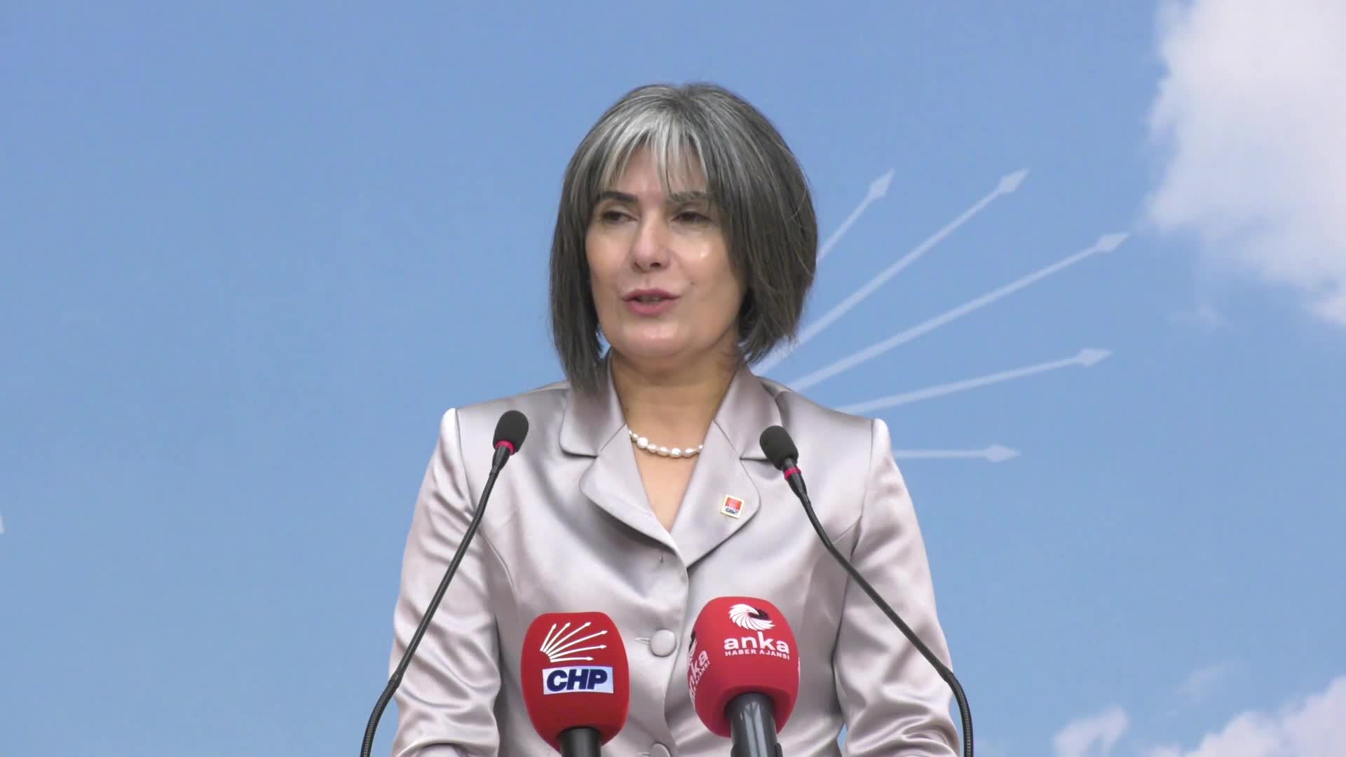 Birsen Bayar, CHP Kadın Kolları Genel Başkanlığı için aday olduğunu açıkladı