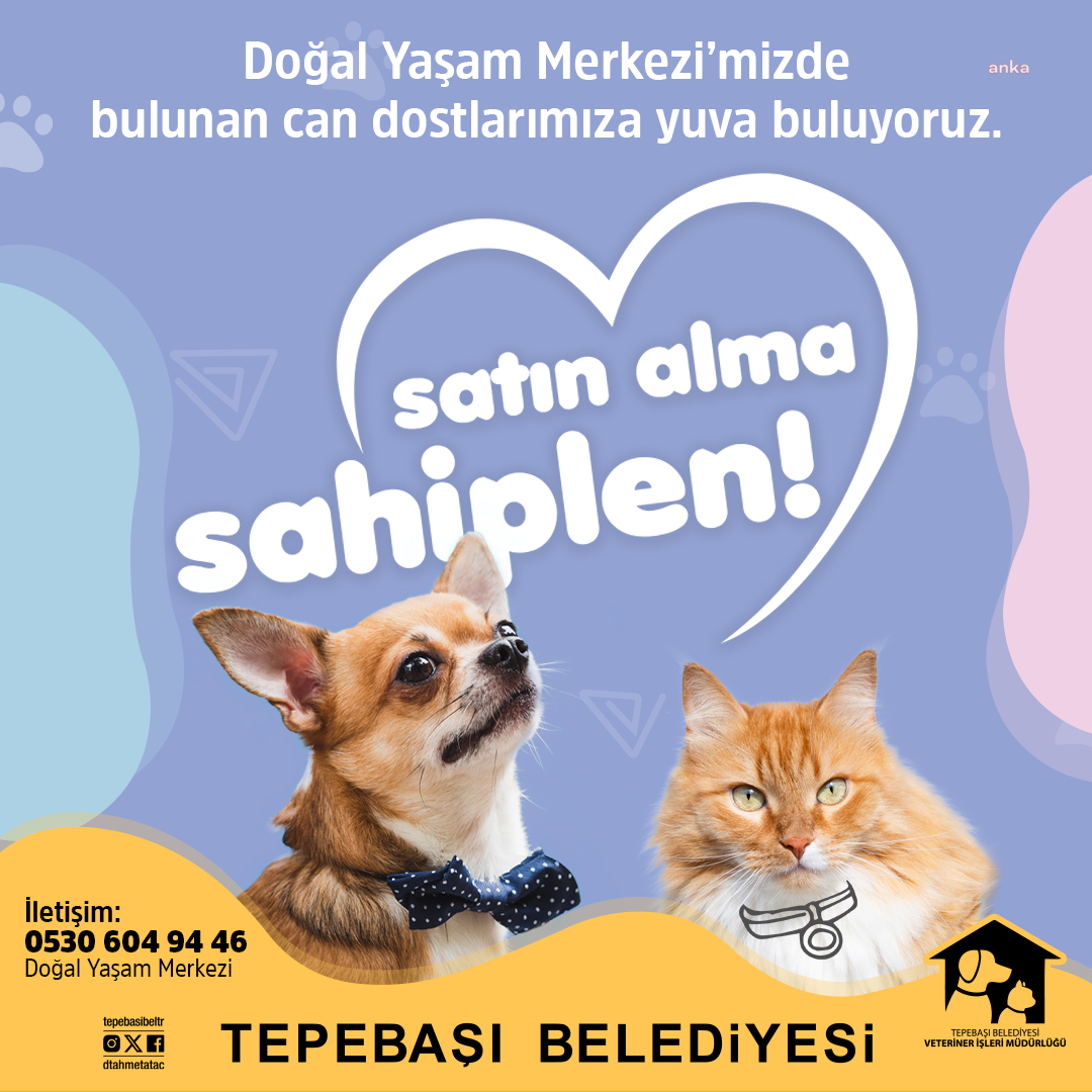 Tepebaşı Belediyesi'nden sokak hayvanlarına özel 'Can Dostum' projesi